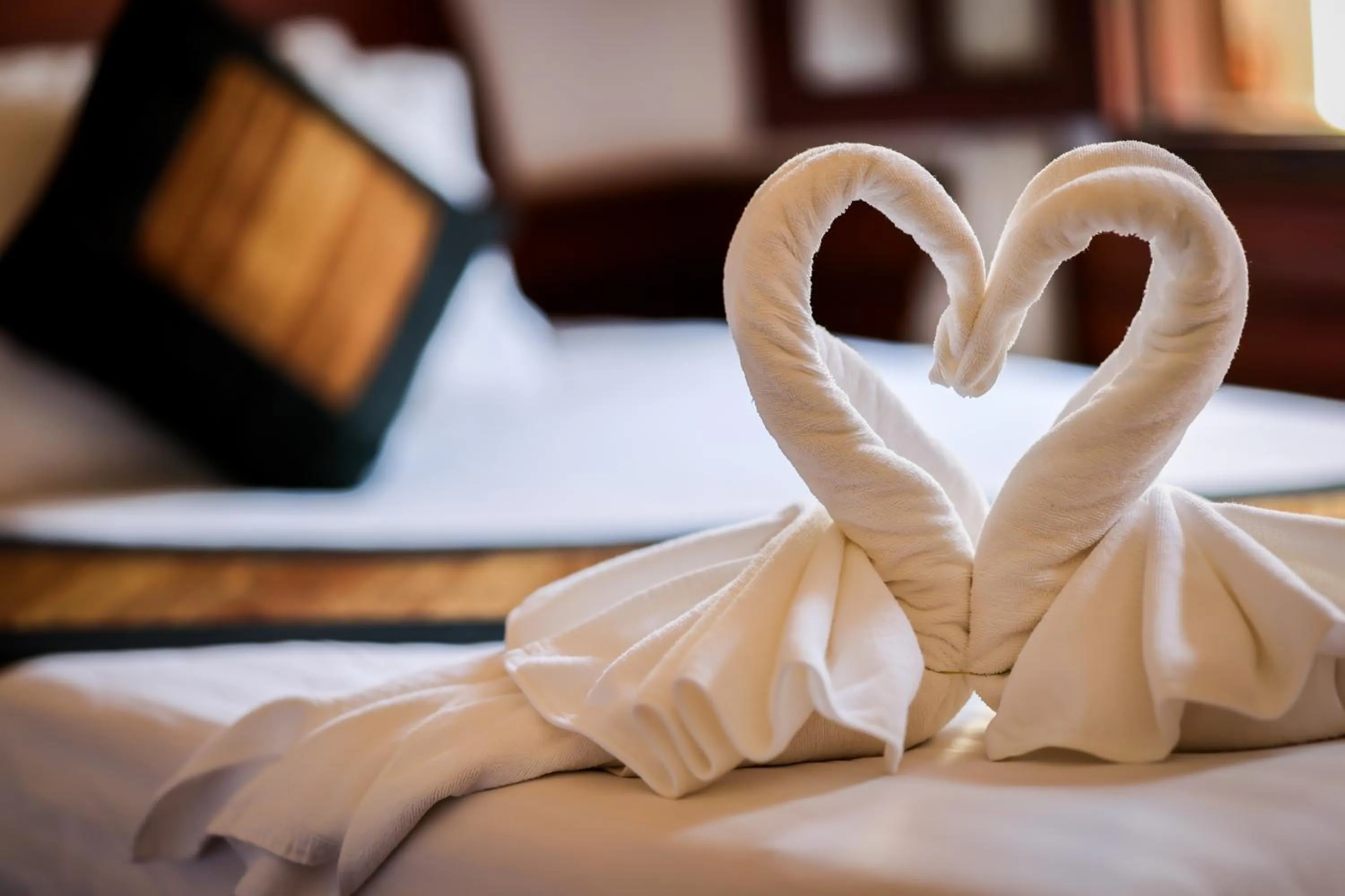 Decorative detail, Bed in Villa Chitdara