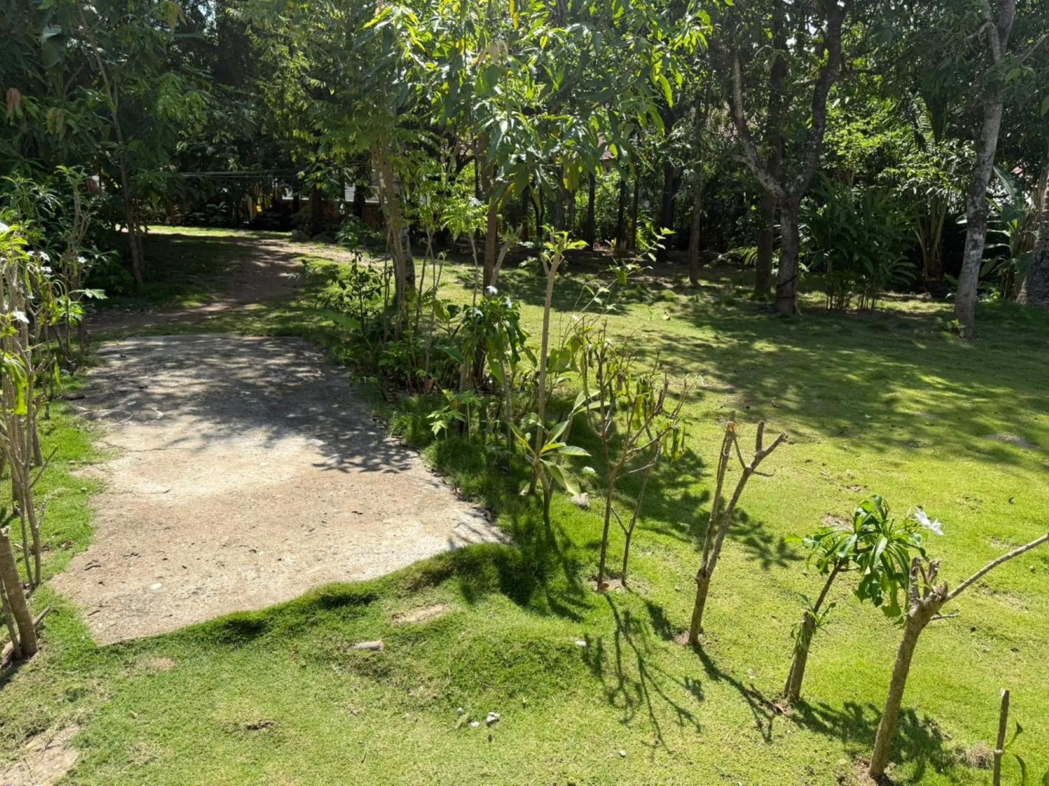 Garden in Vangsavath Hotel