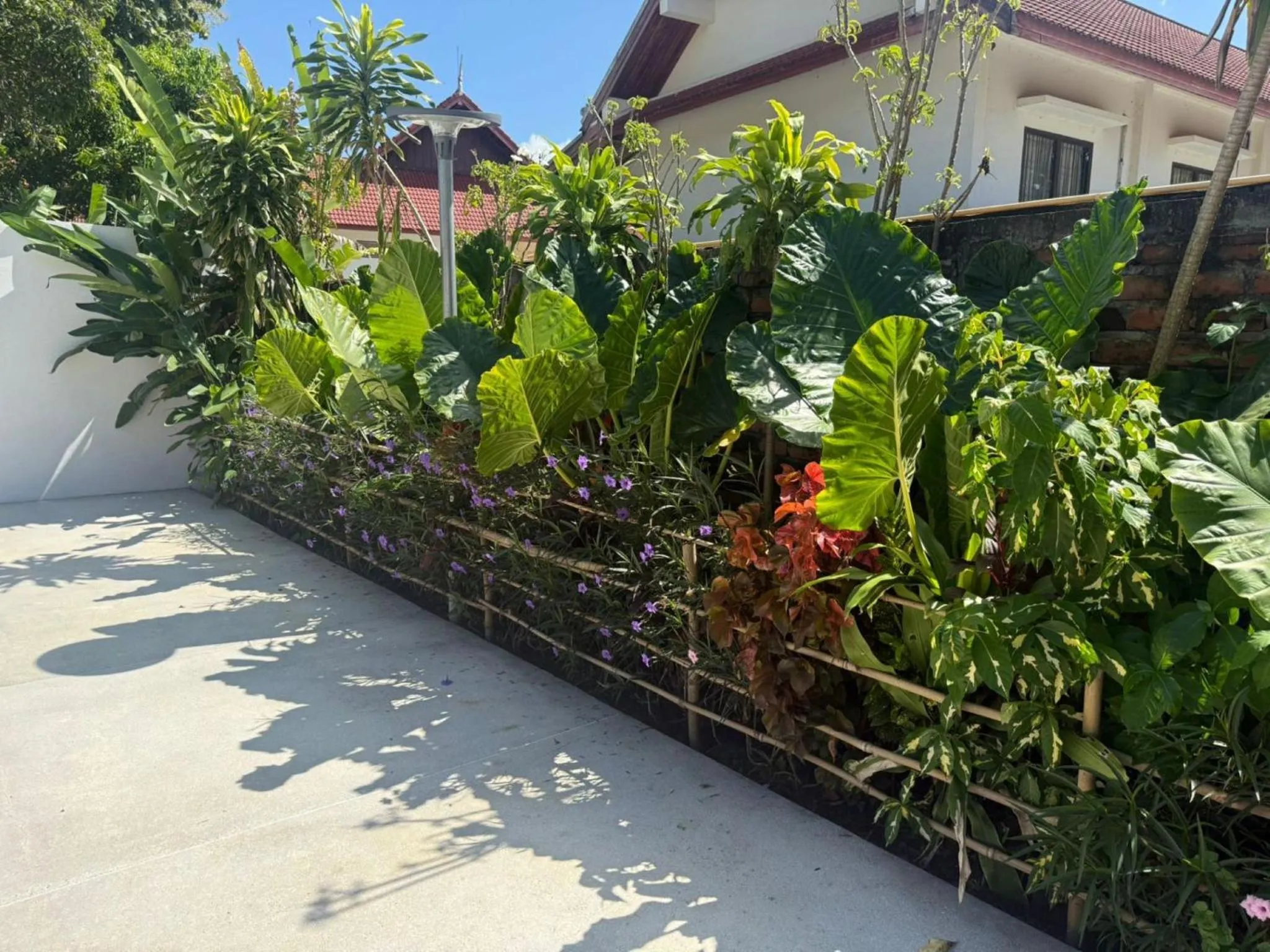 Garden in Vangsavath Hotel