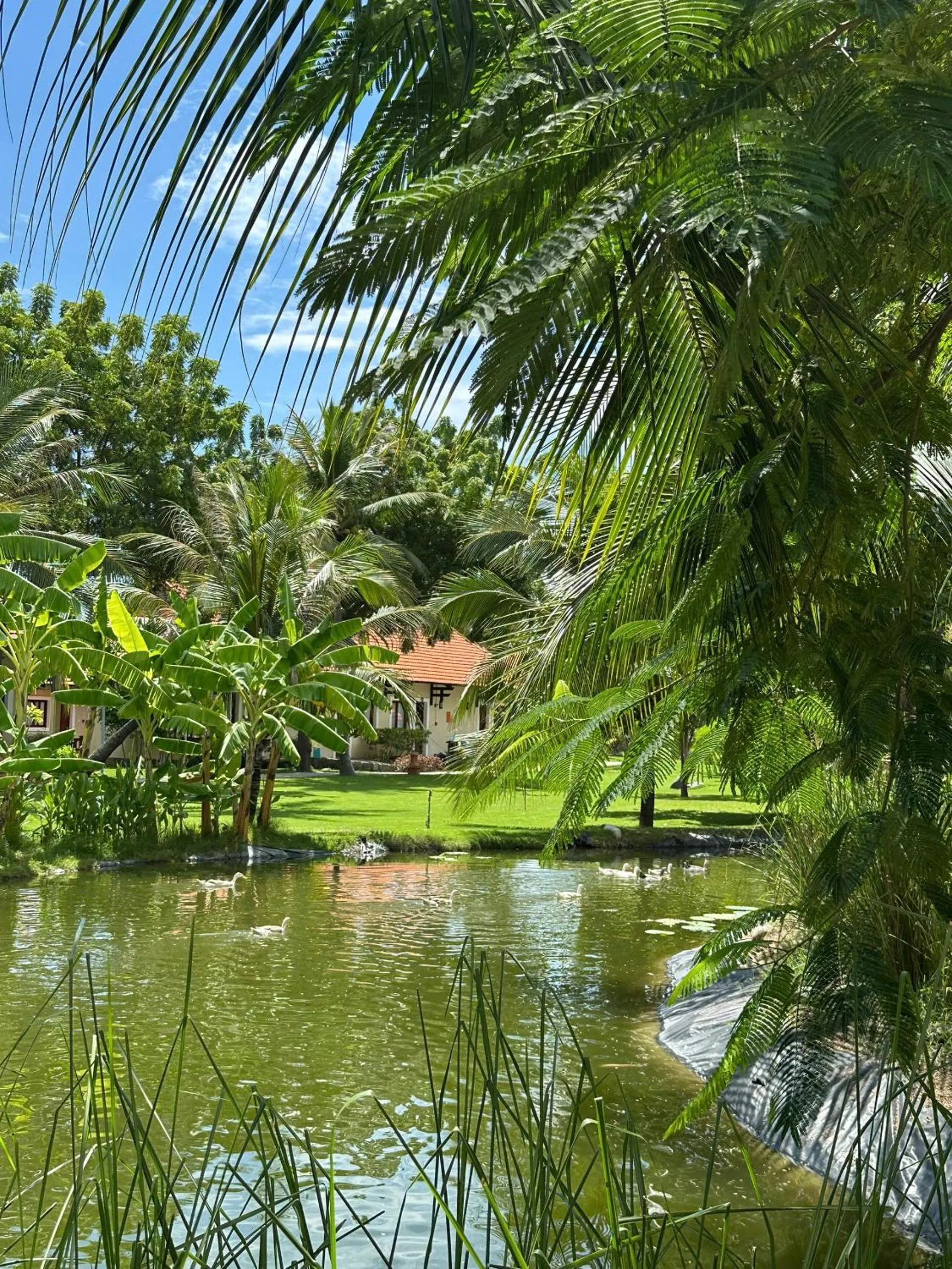 Garden in TTC Resort Ninh Thuan - Unlimited Access to Water Park