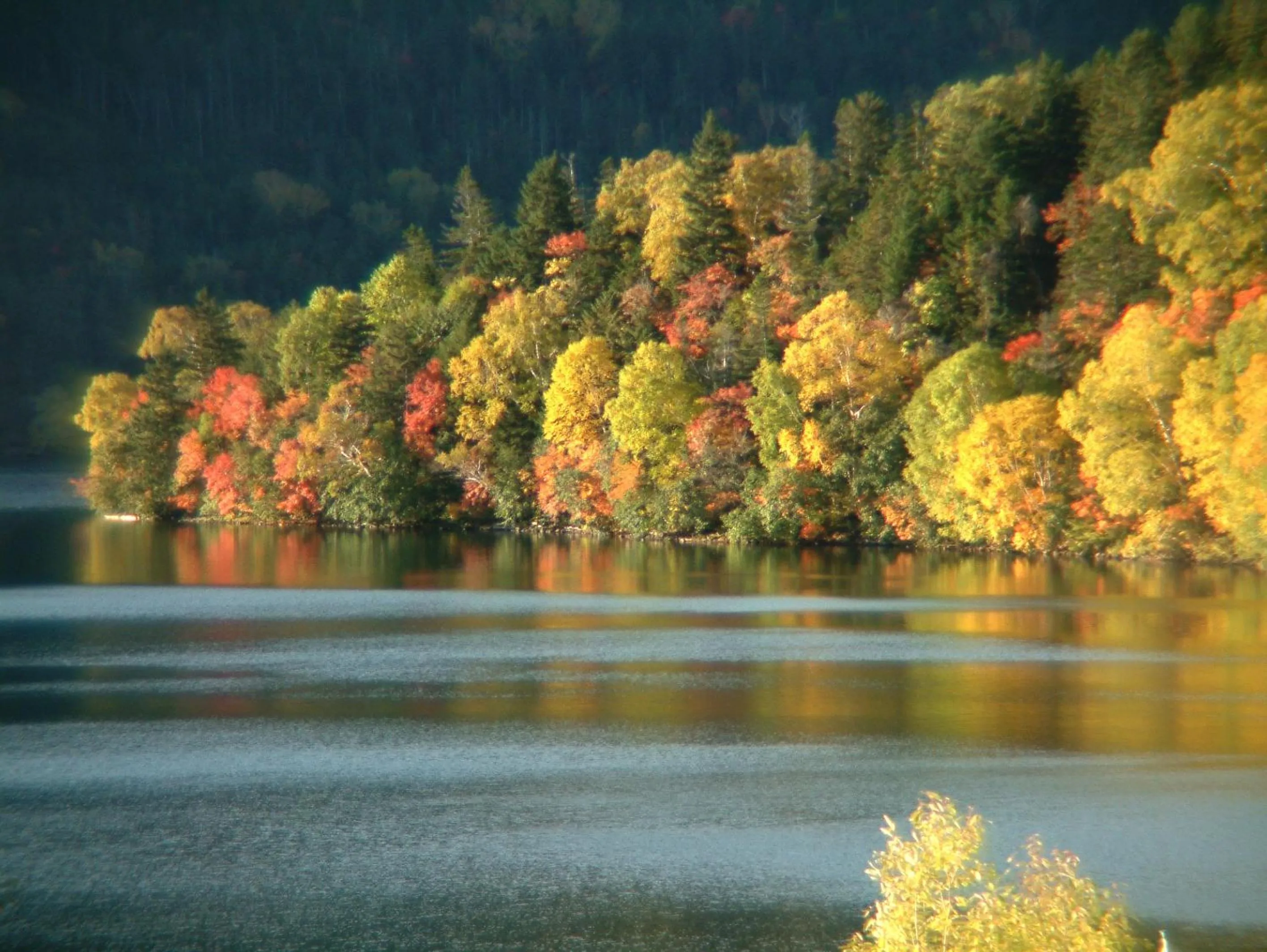 Shikaribetsu Kohan Onsen Hotel Fusui