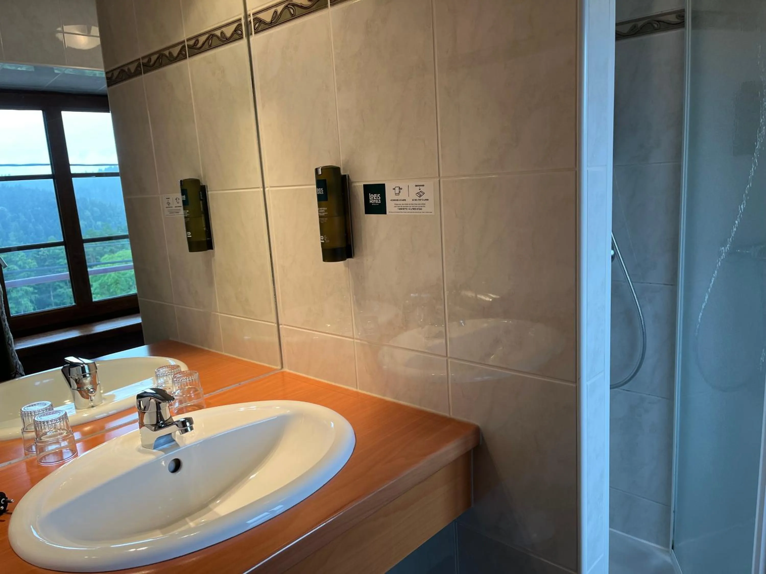 Logis Hotel & Restaurant - Les Vosges