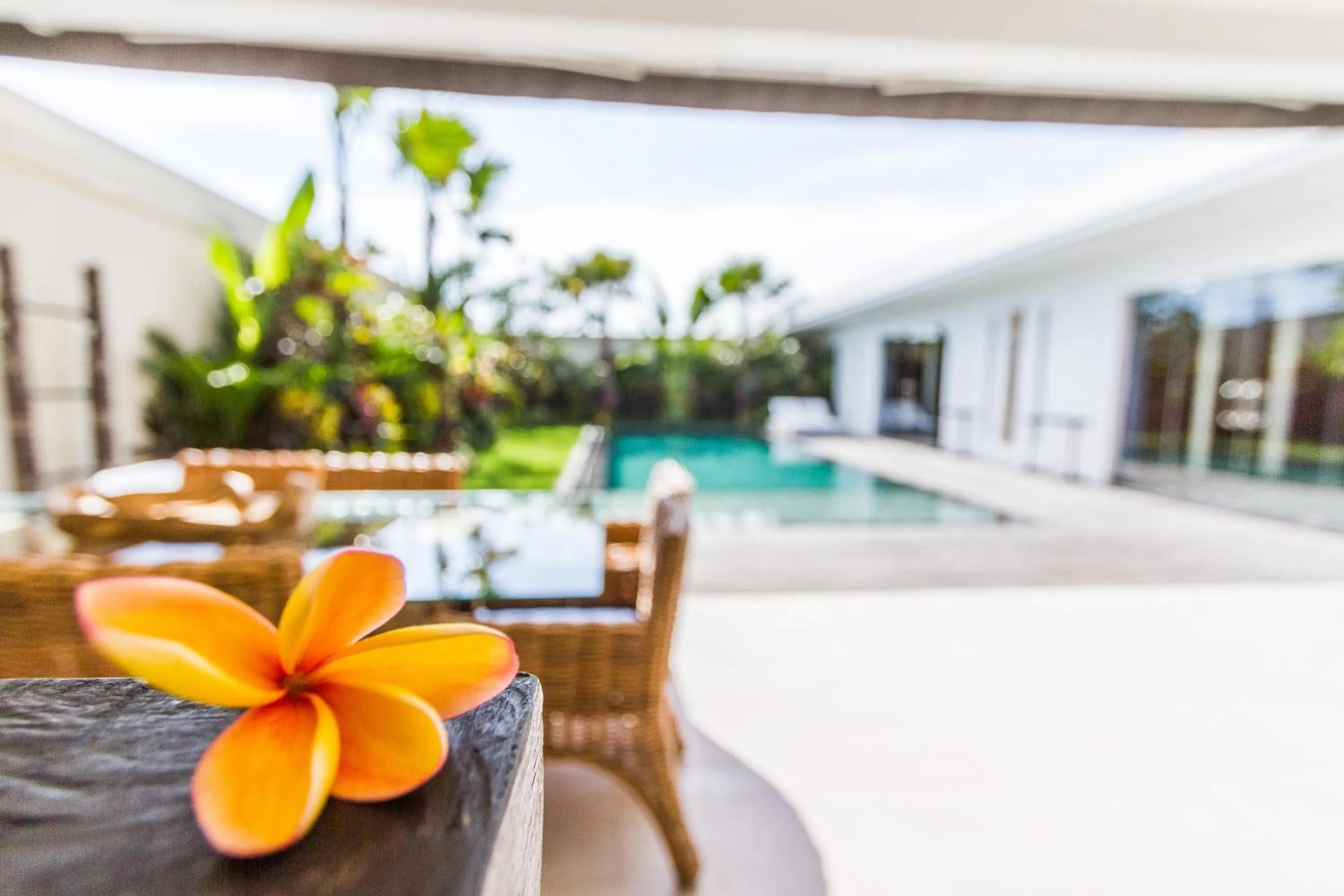 Villa Juna - Beautiful 3 Bedroom in Seminyak