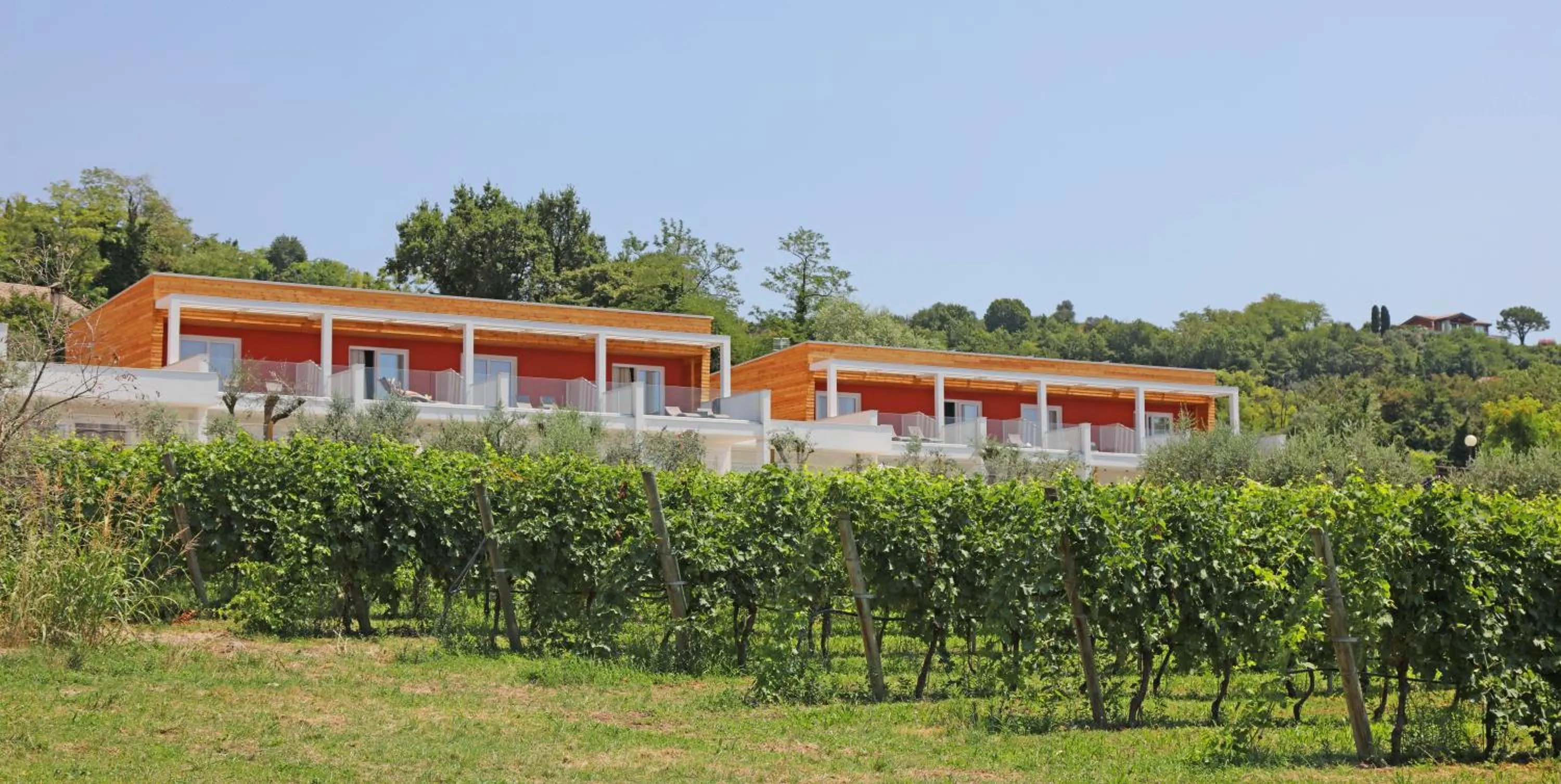 Lake view in Appartamenti Bellavista