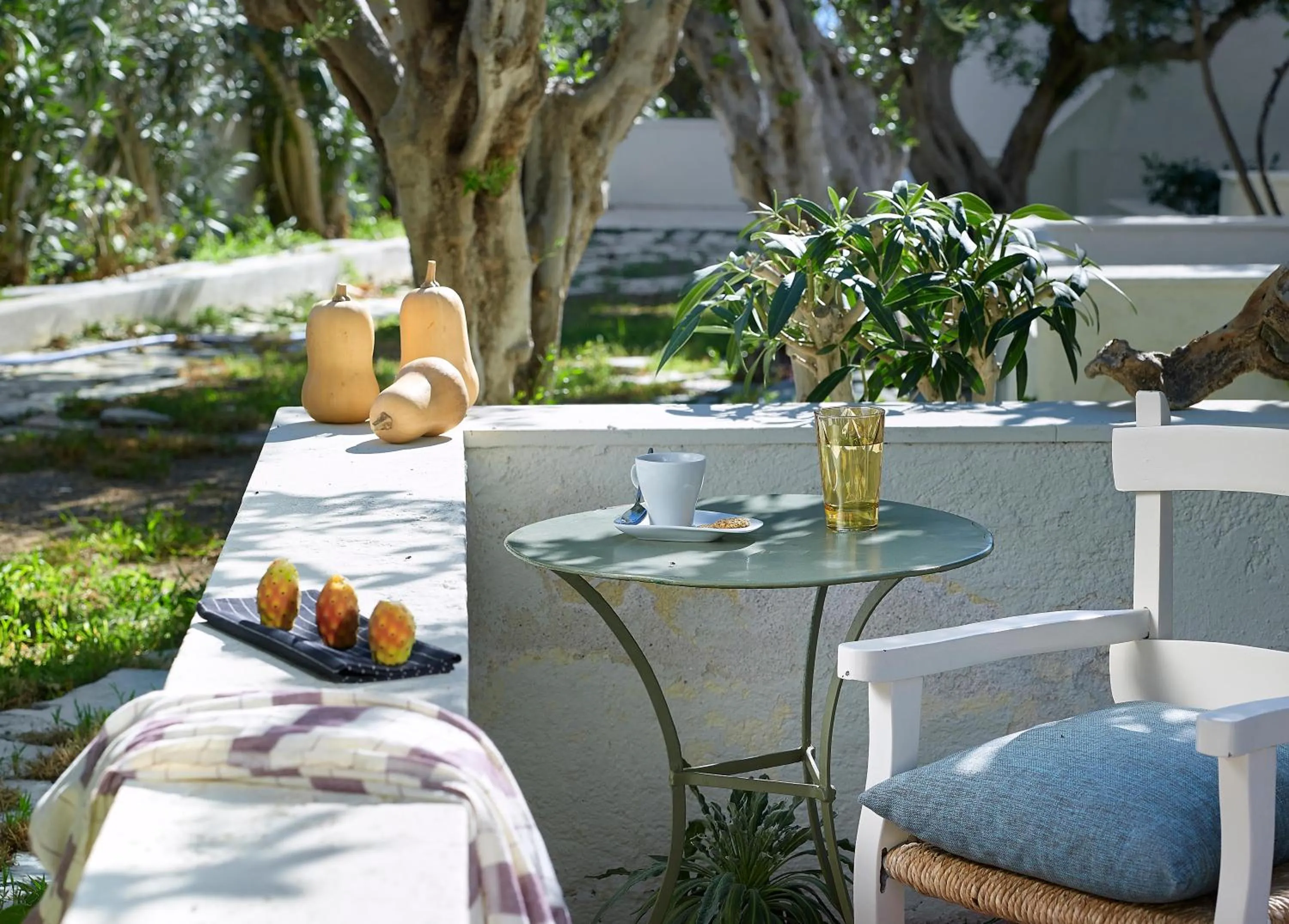 Photo of the whole room in Coriva Beach Hotel & Bungalows