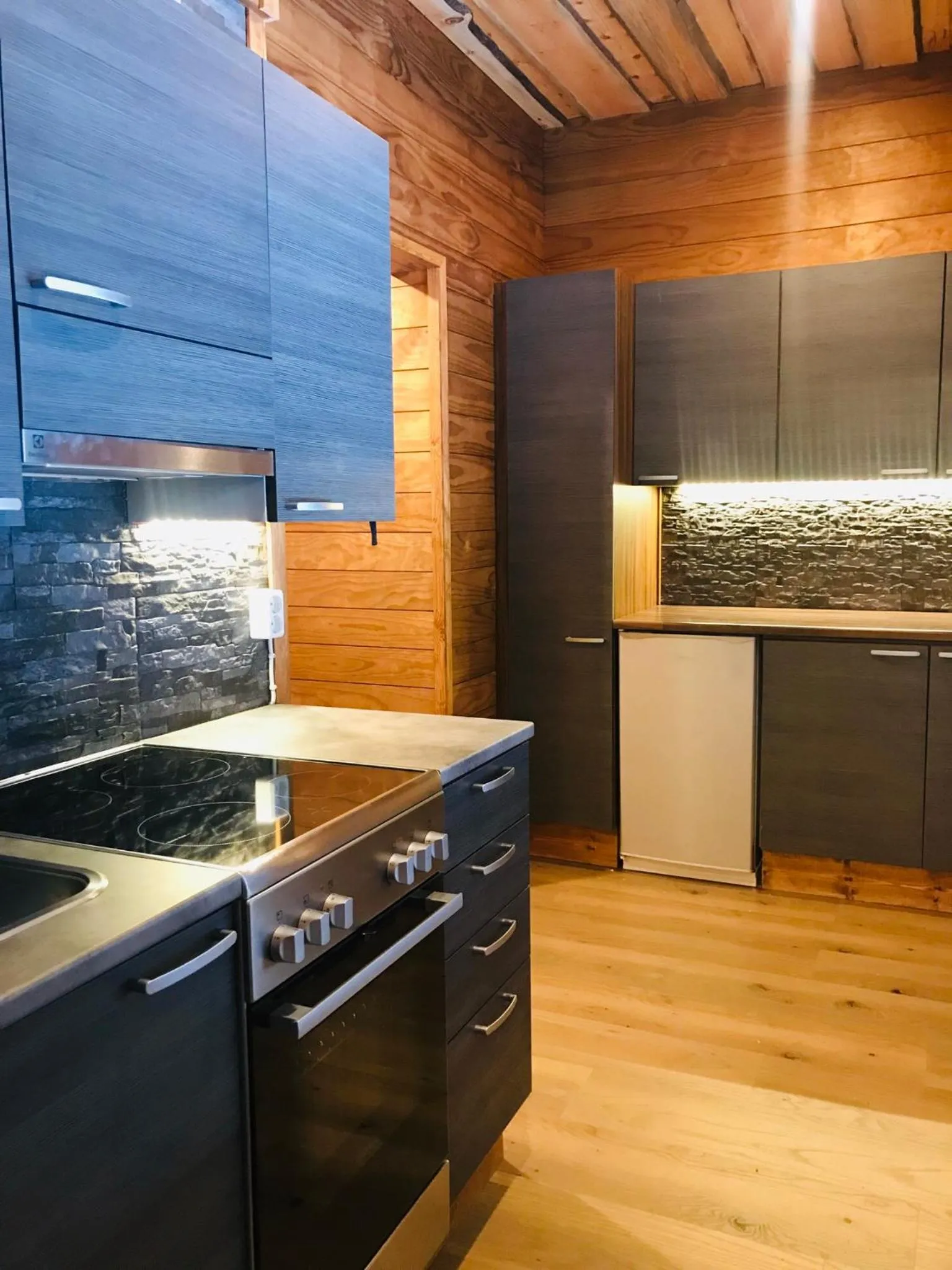 Kitchen or kitchenette in Wilderness Hotel Nellim & Igloos