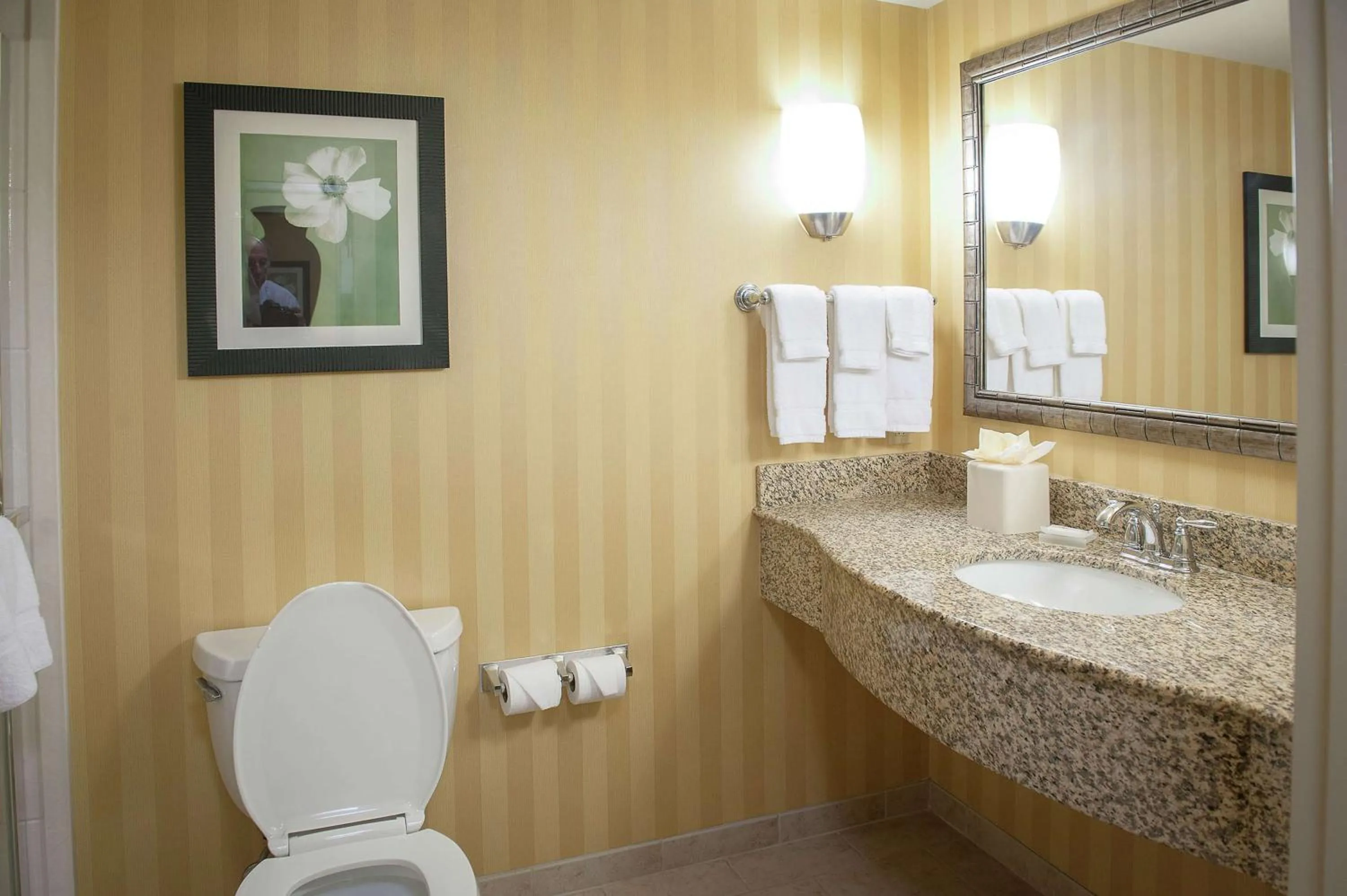 Bathroom in Hilton Garden Inn Pensacola Airport/Medical Center