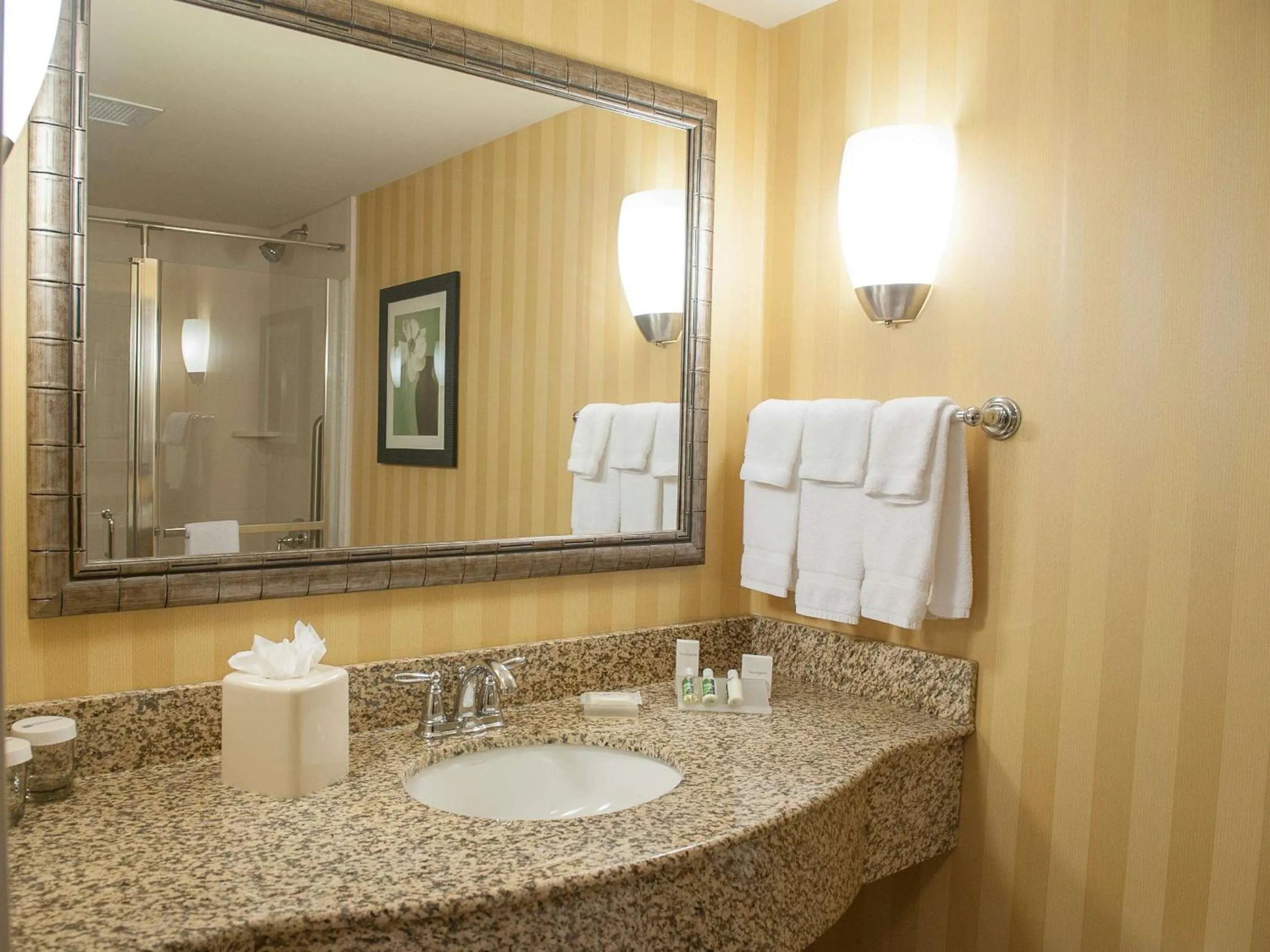 Bathroom in Hilton Garden Inn Pensacola Airport/Medical Center