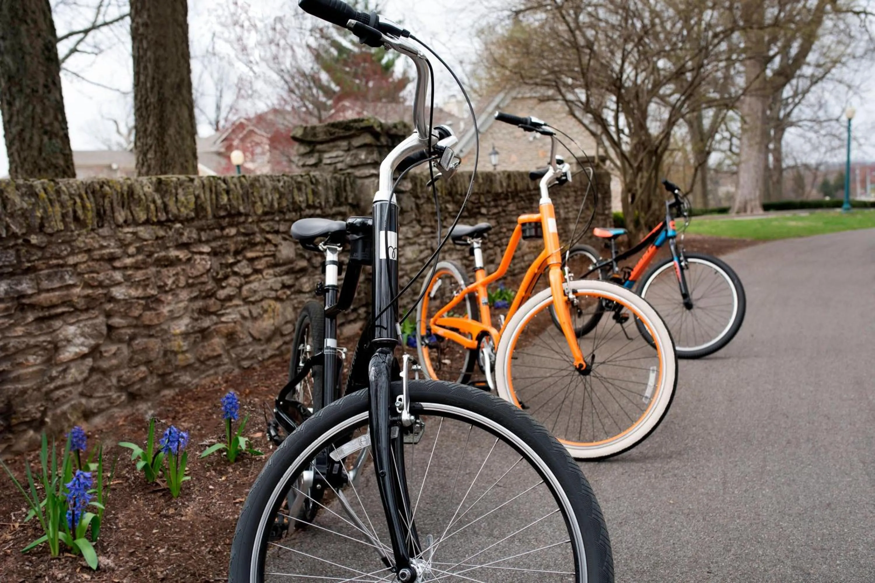 Other in Marriott Lexington Griffin Gate Golf Resort & Spa