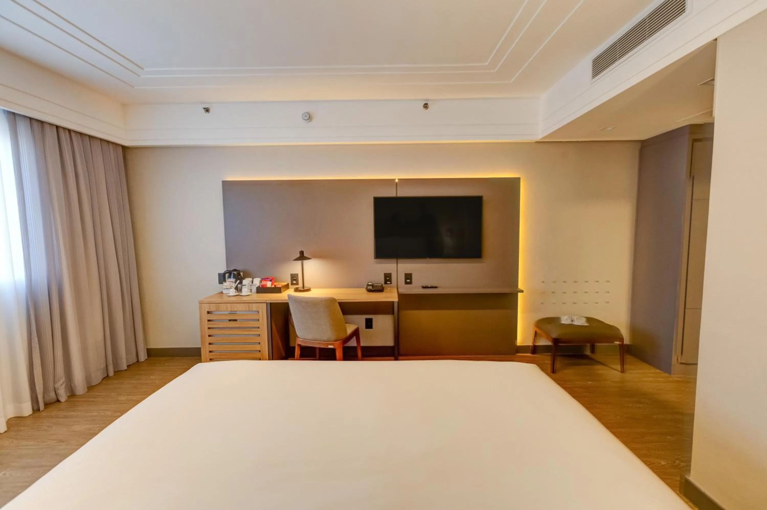 TV and multimedia in Radisson Alphaville