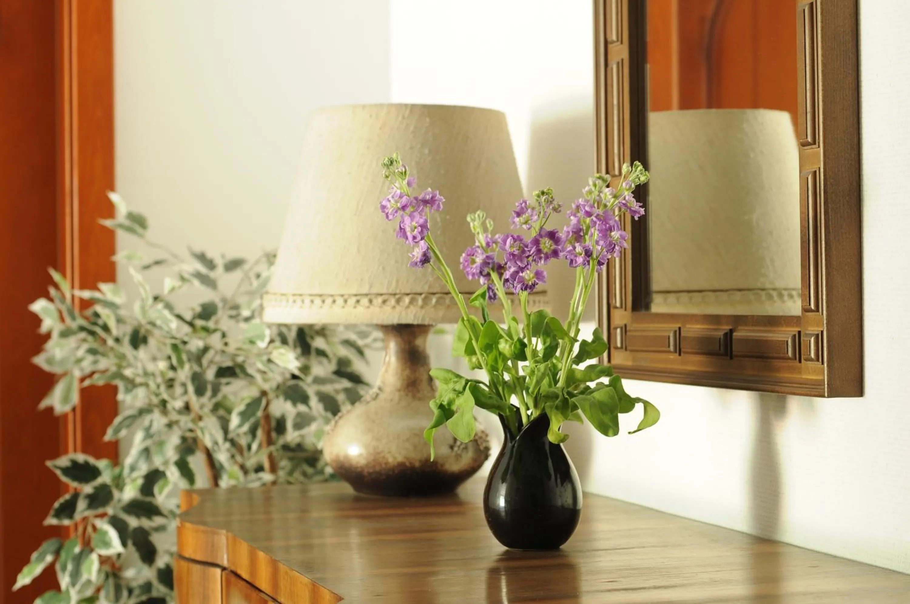 Decorative detail in Amicus Hotel