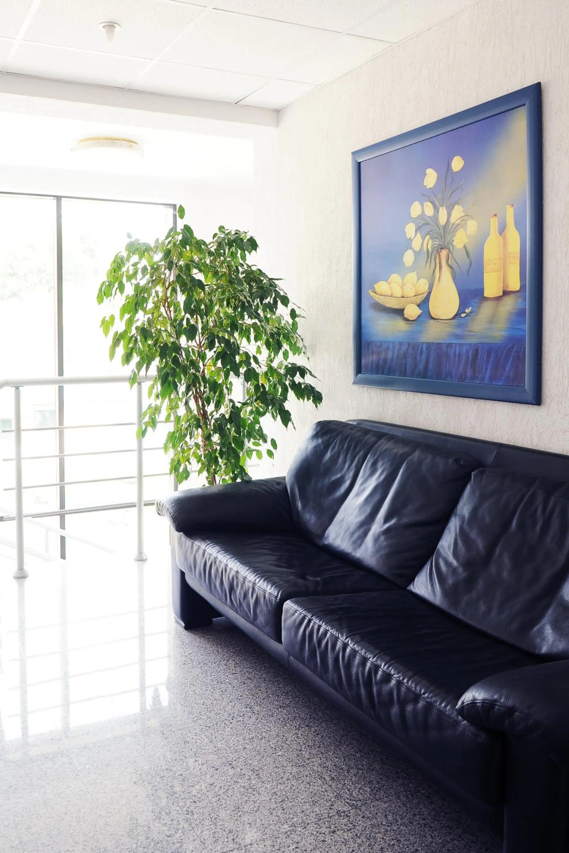 Decorative detail in Amicus Hotel