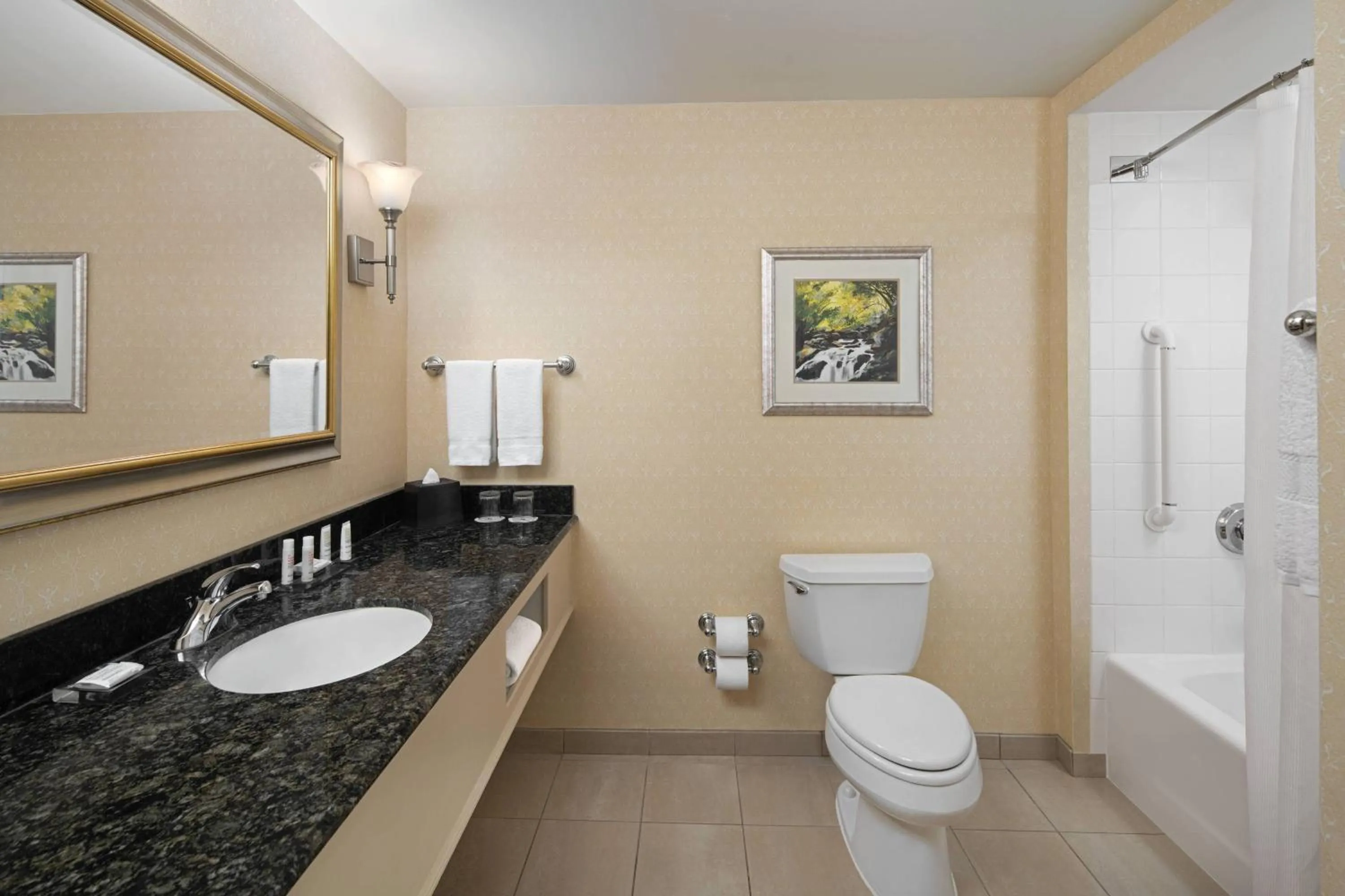 Bathroom in Spartanburg Marriott