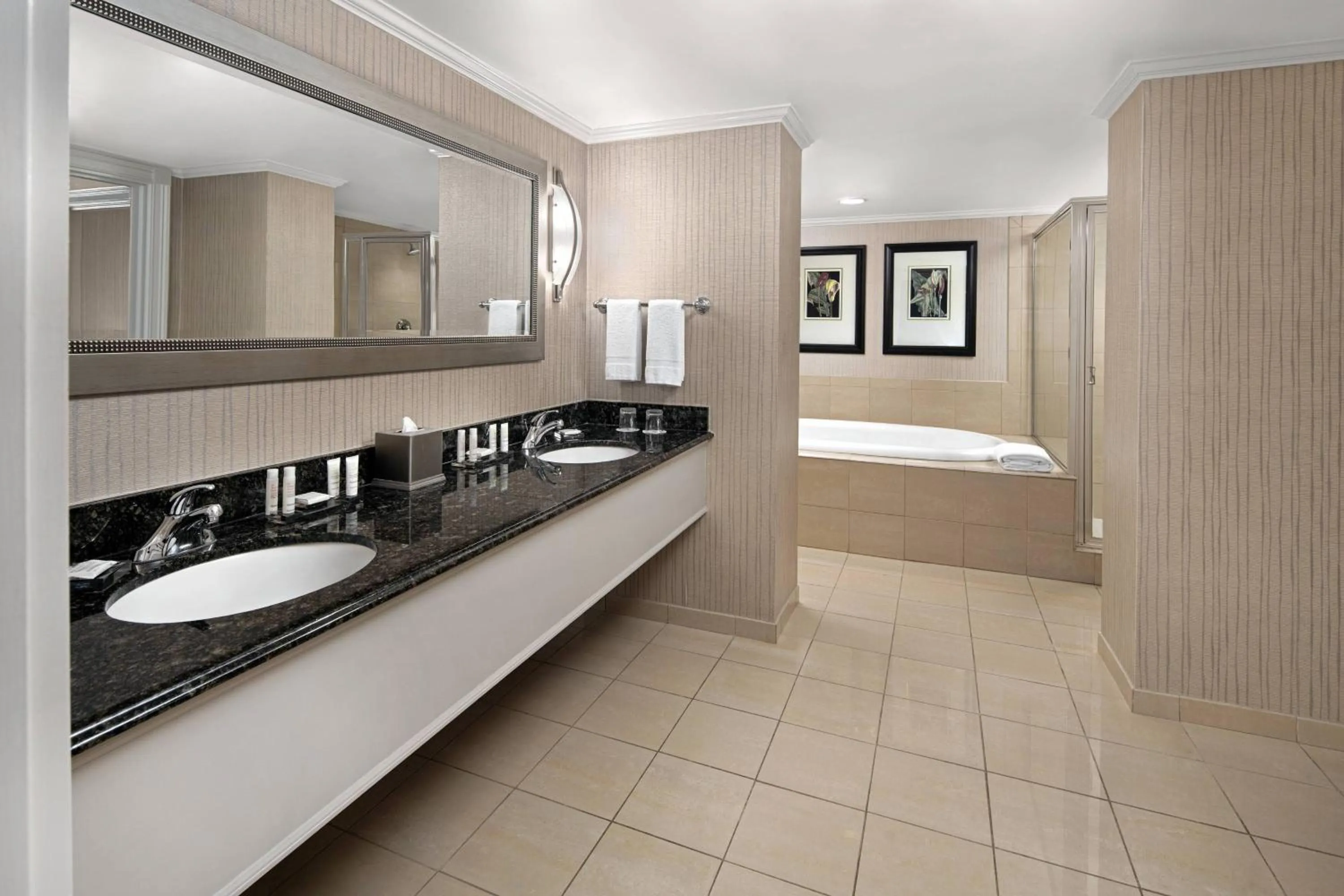 Bathroom in Spartanburg Marriott