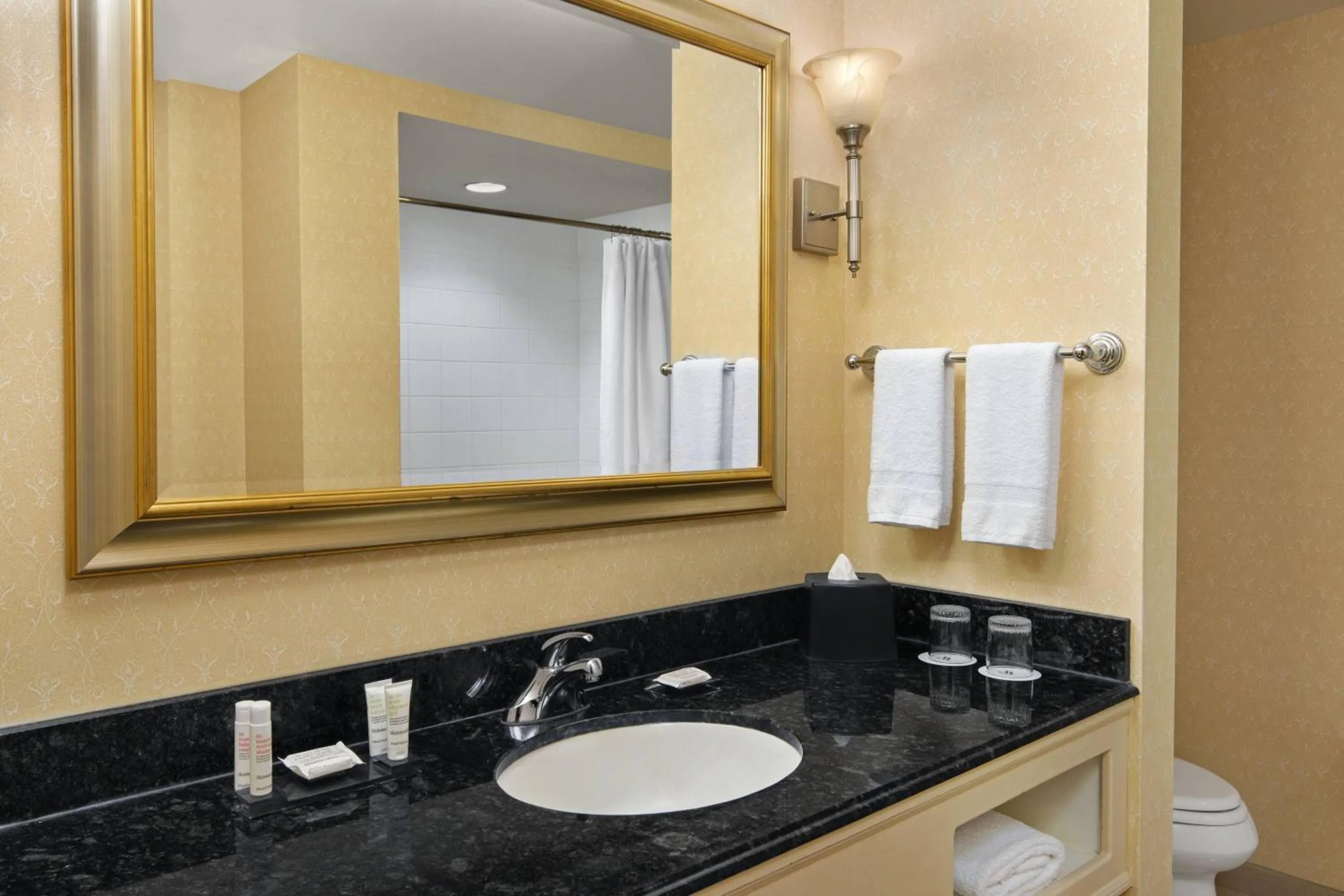 Bathroom in Spartanburg Marriott