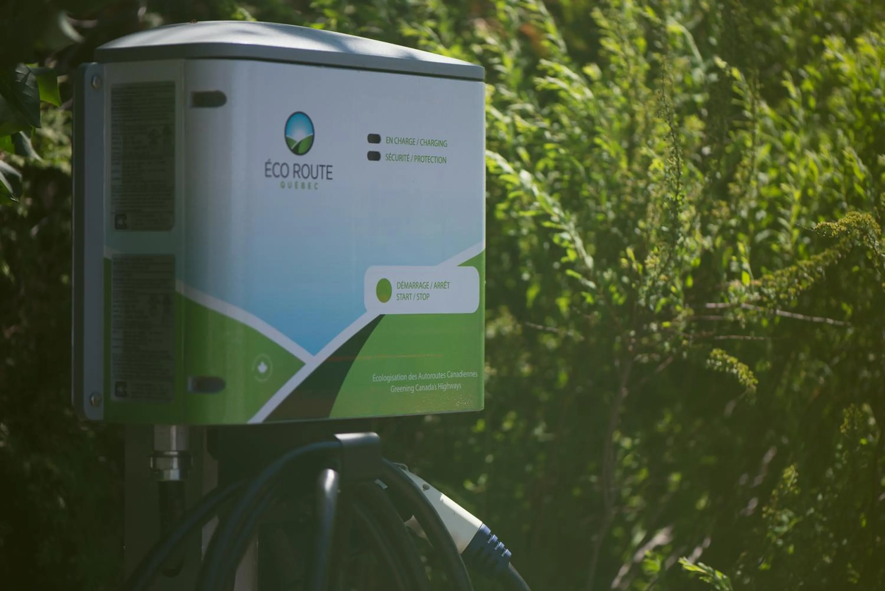 Area and facilities in Goéliche hotel et appartement