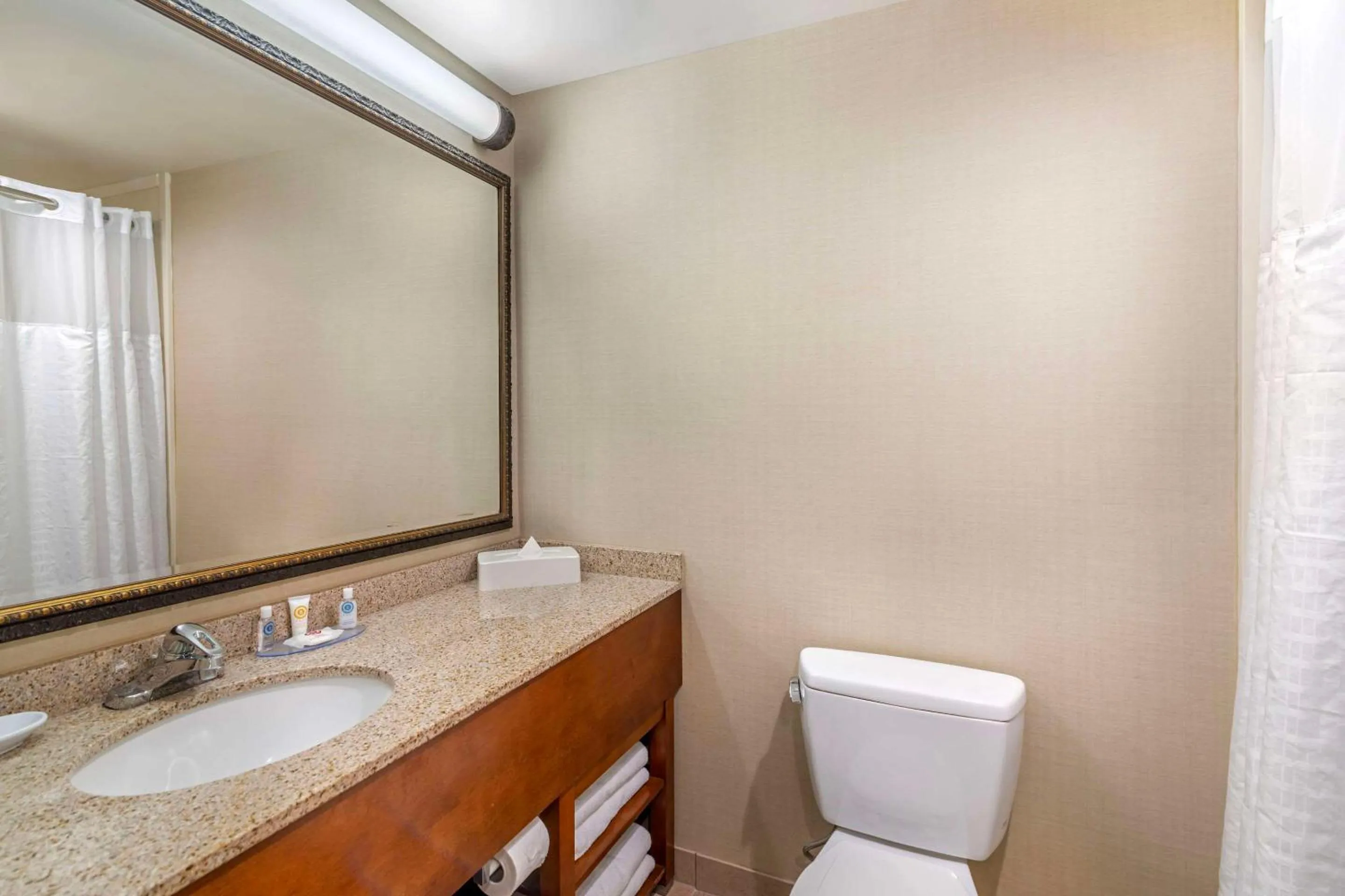 Bedroom in Comfort Inn & Suites Dover-Portsmouth