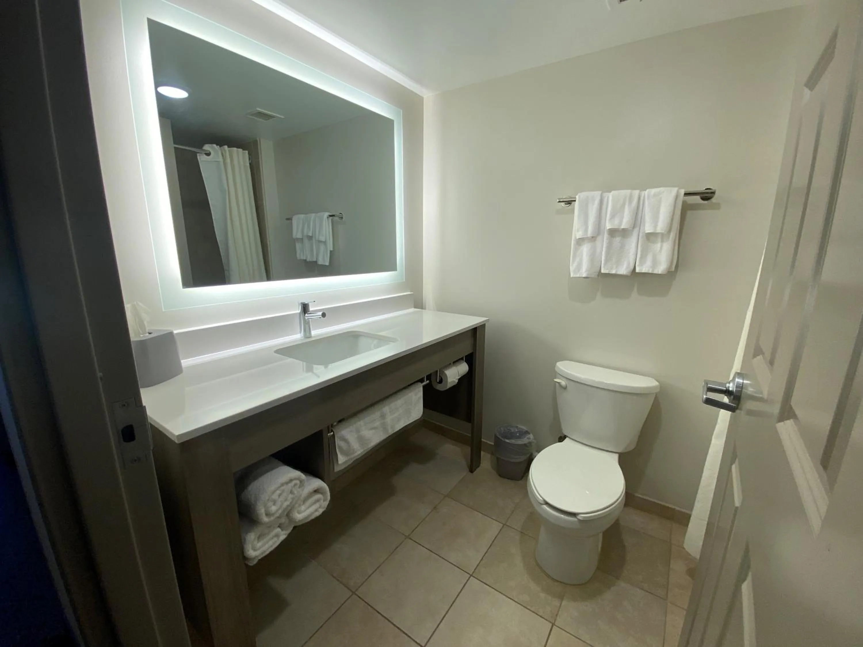 Shower in Wingate by Wyndham State Arena Raleigh/Cary Hotel