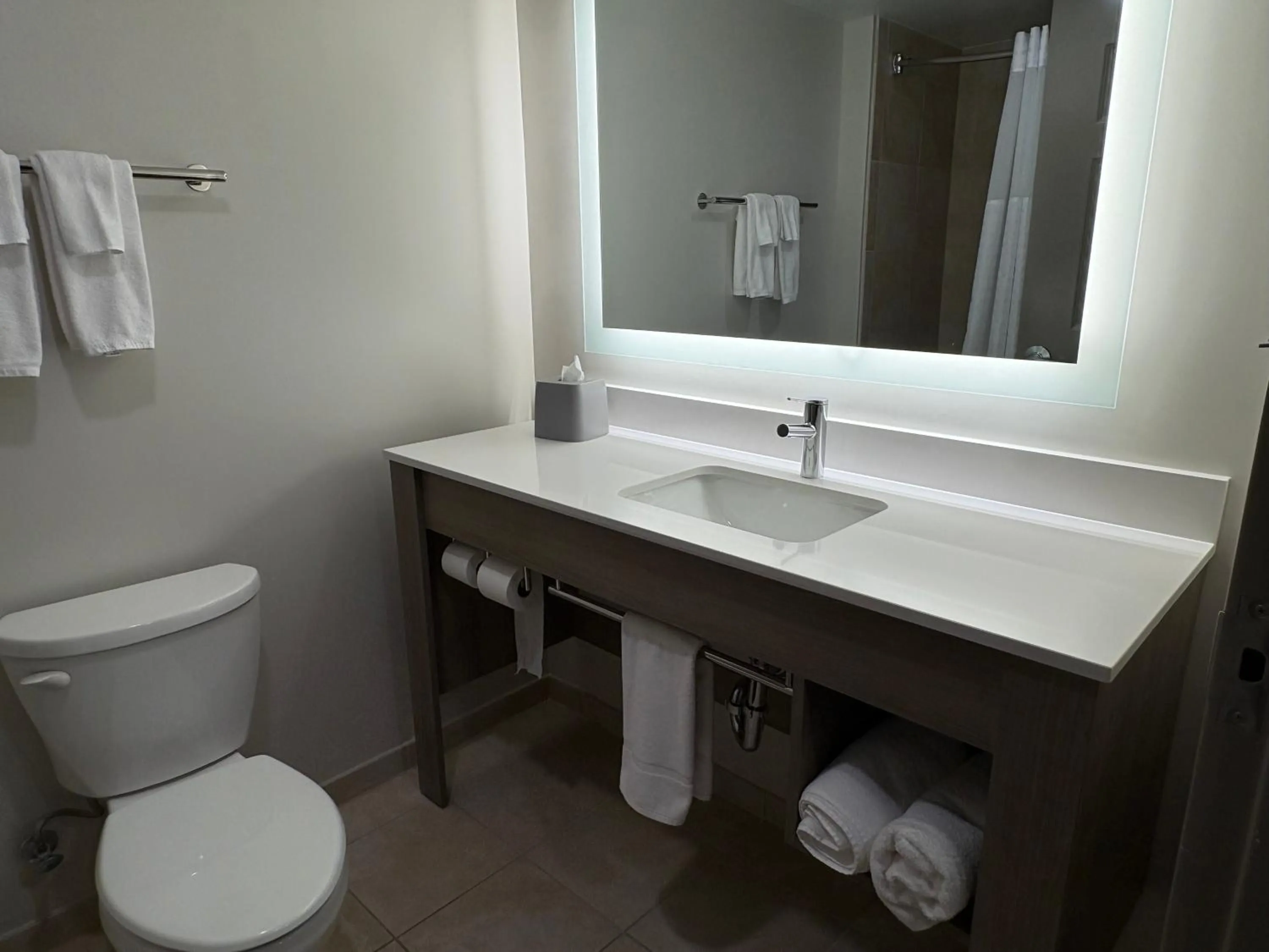 Bathroom in Wingate by Wyndham State Arena Raleigh/Cary Hotel