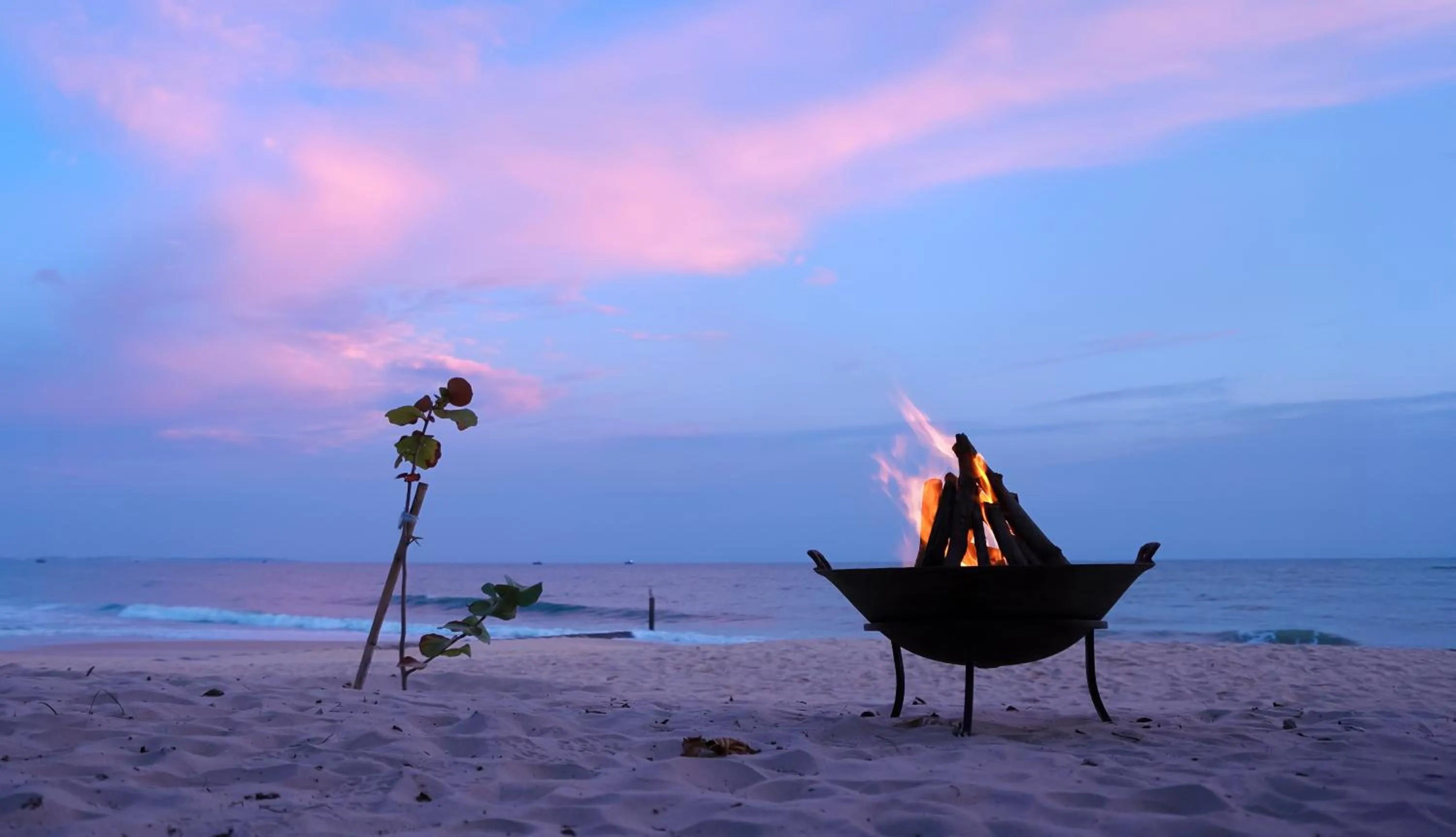 Beach in Blue Ocean Resort
