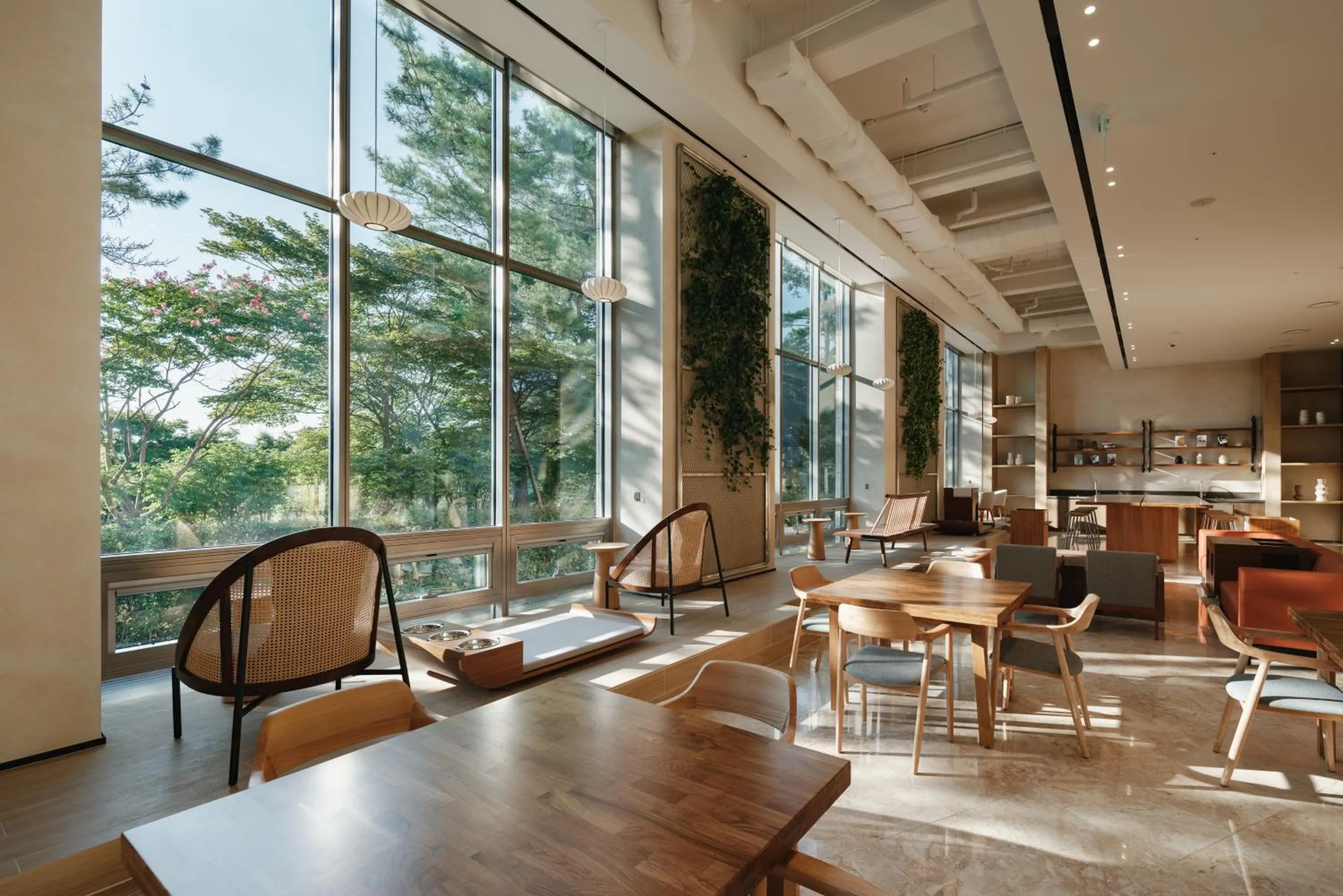 Restaurant/places to eat in Kinock