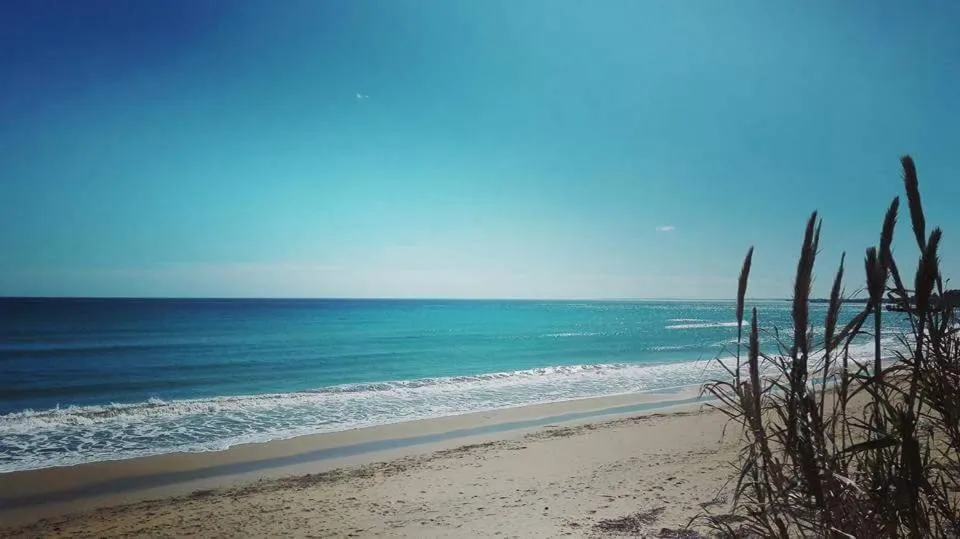 Beach in La Gioia di Sicilia B&B