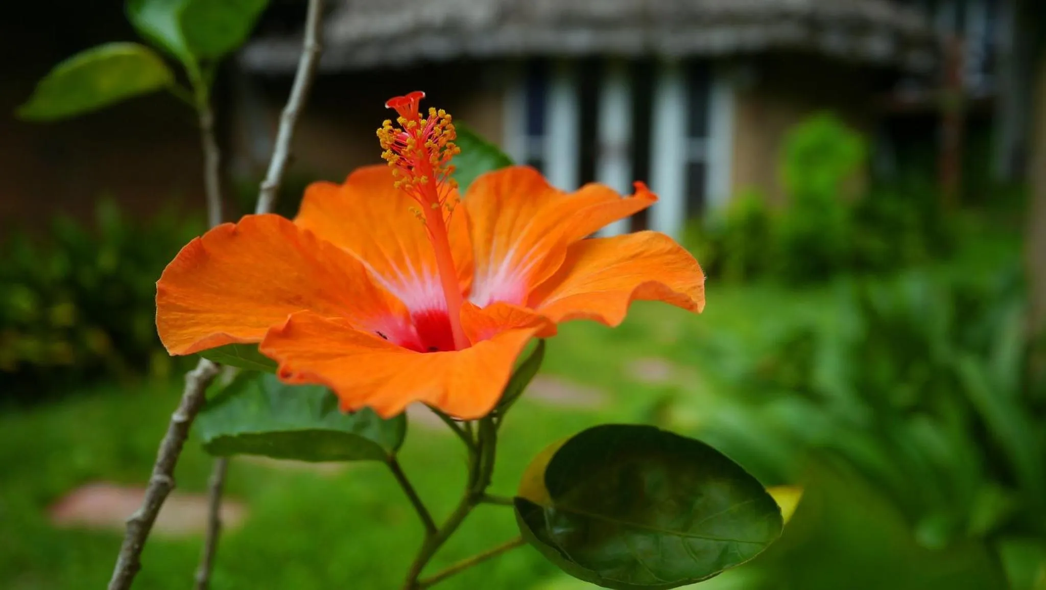 Decorative detail in Pho Rak Nah Pai