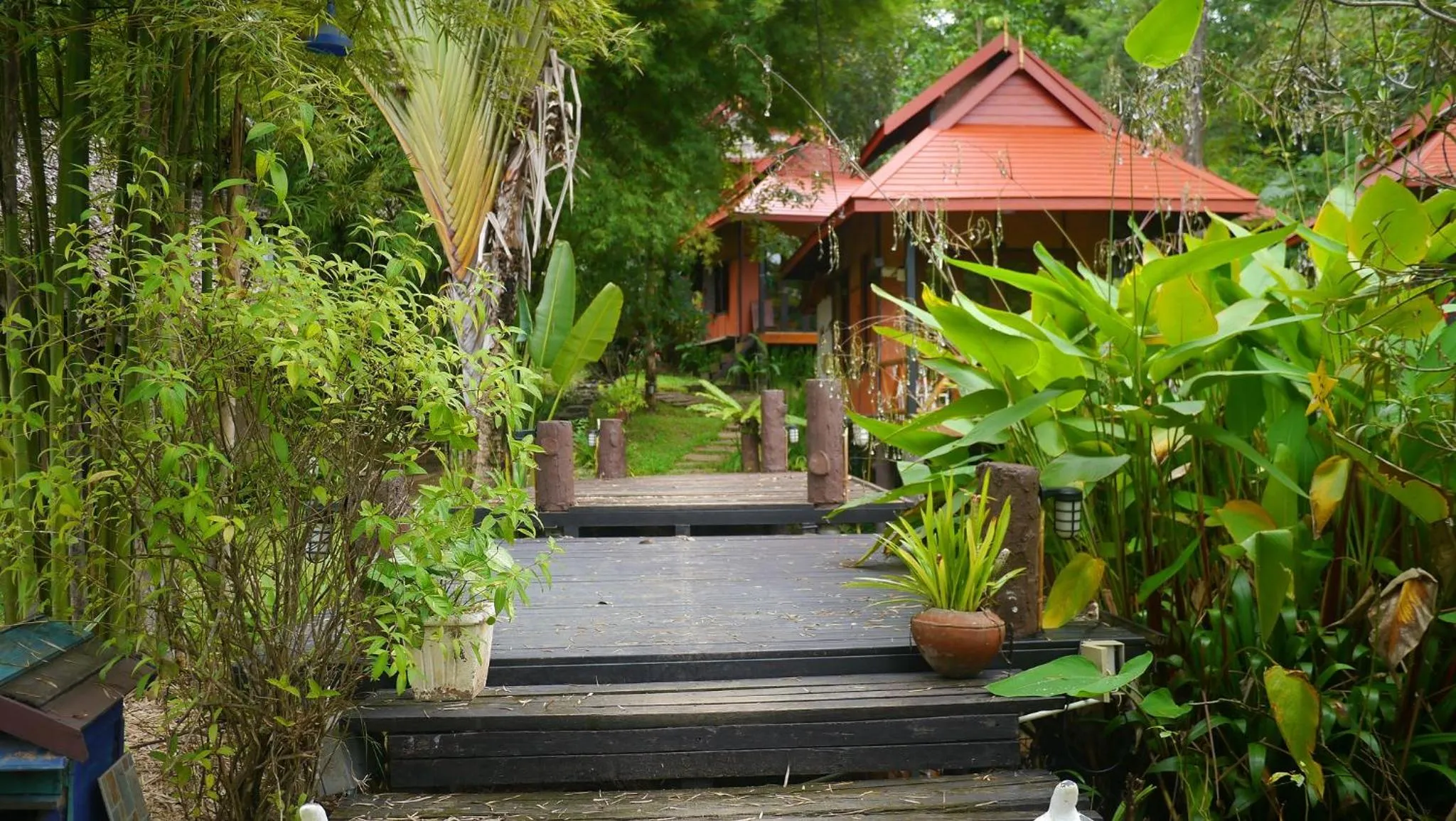 Property building in Pho Rak Nah Pai