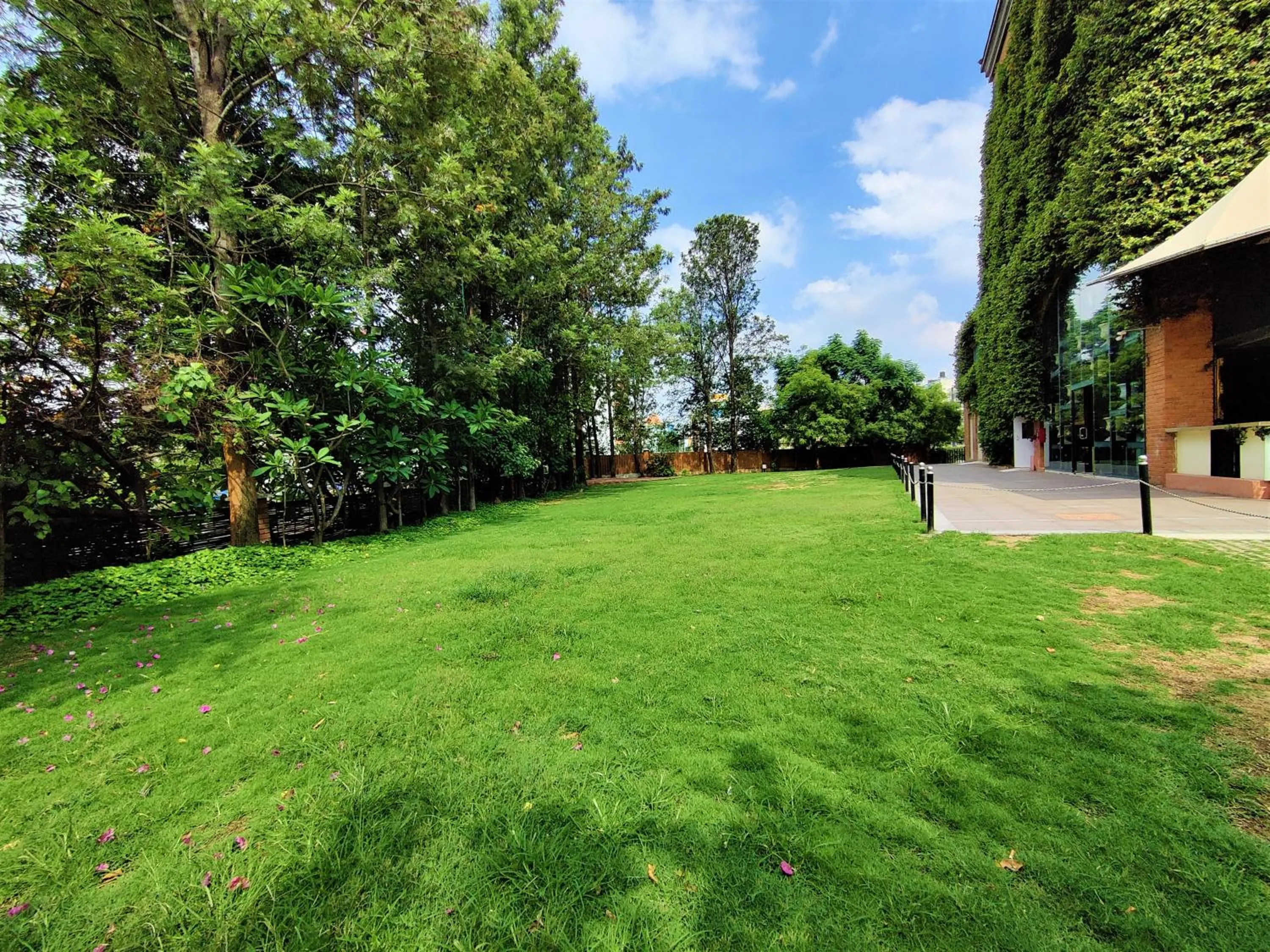Garden in Hotel Royal Orchid Bangalore