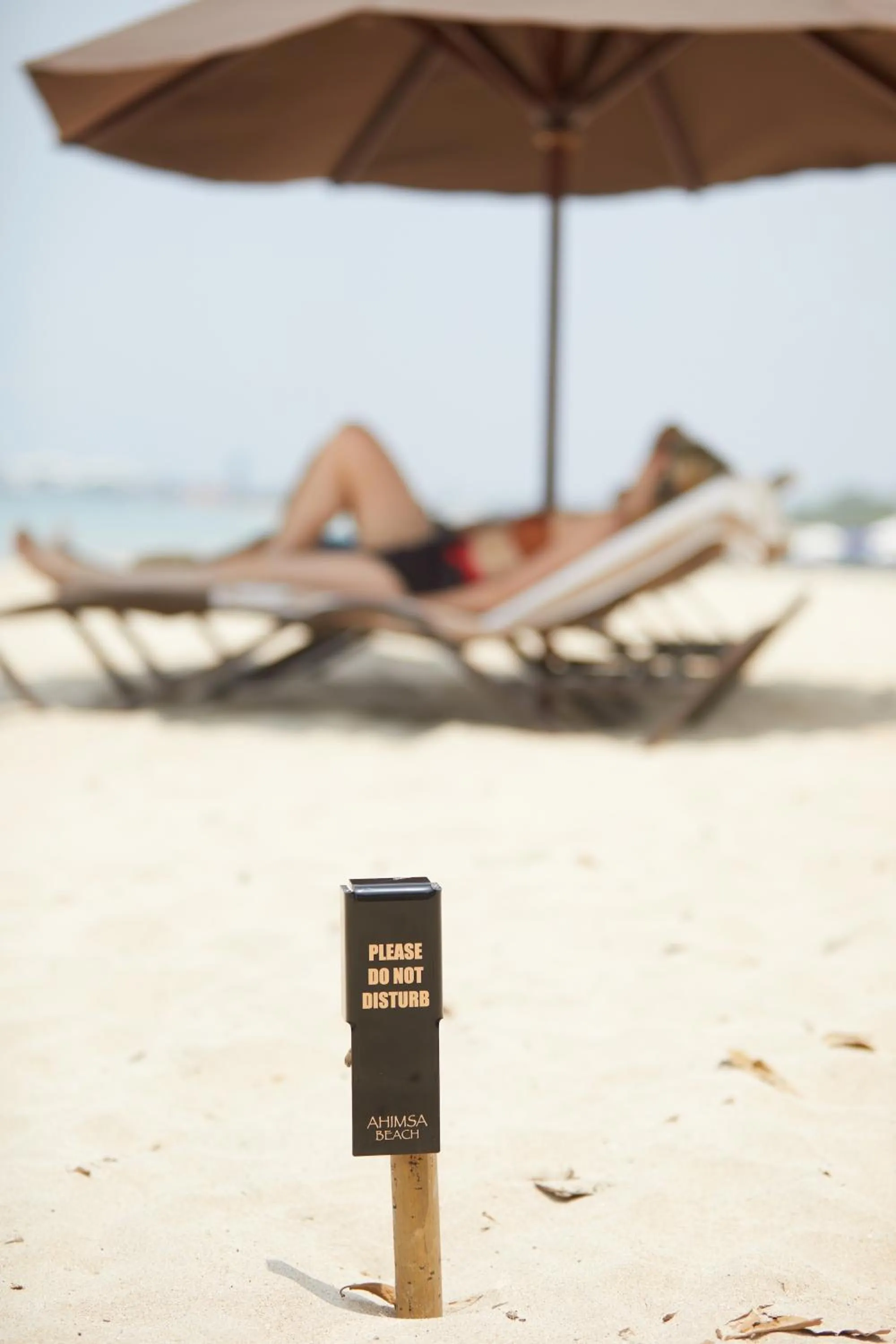 Beach in Ahimsa Beach