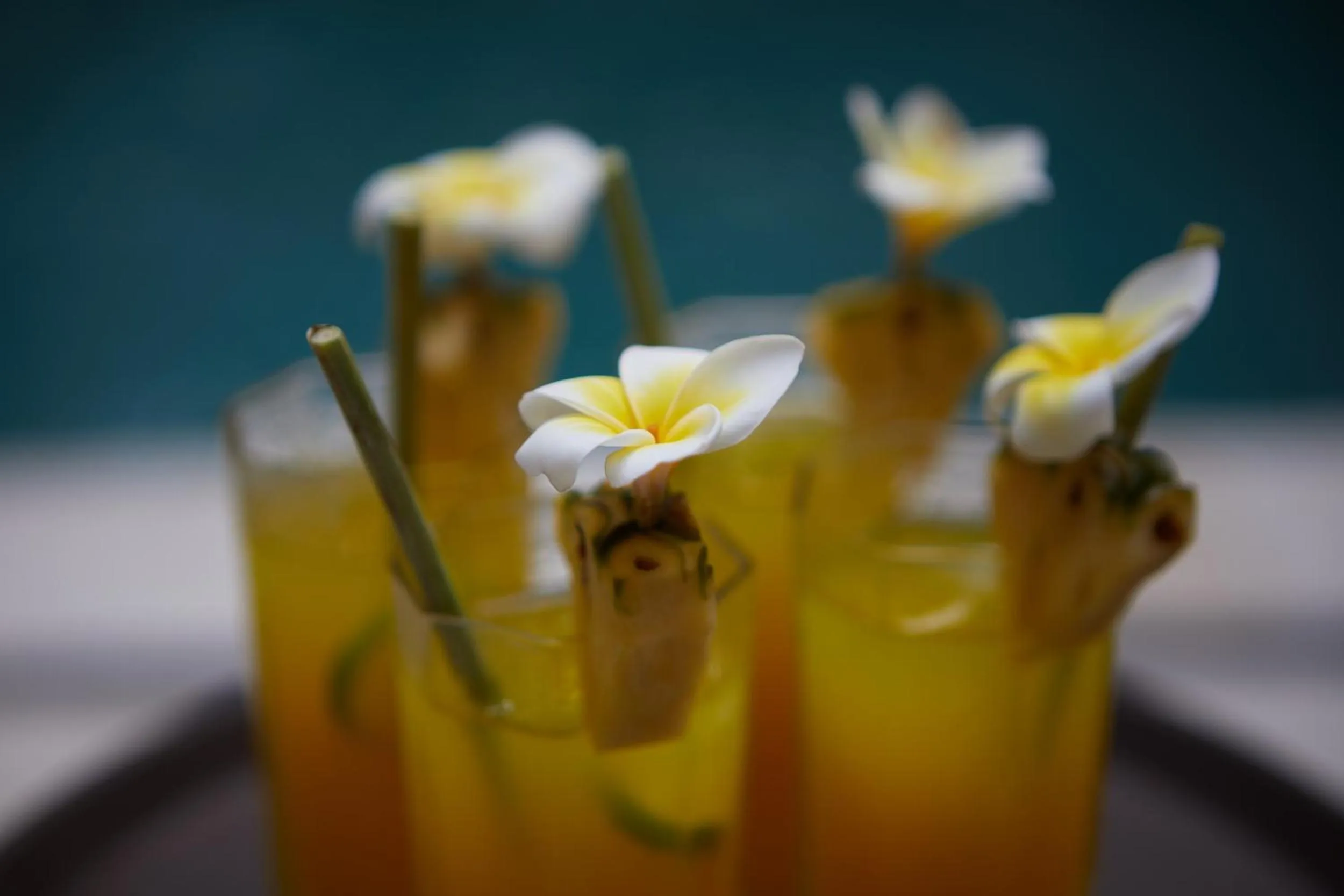 Drinks in Ahimsa Beach