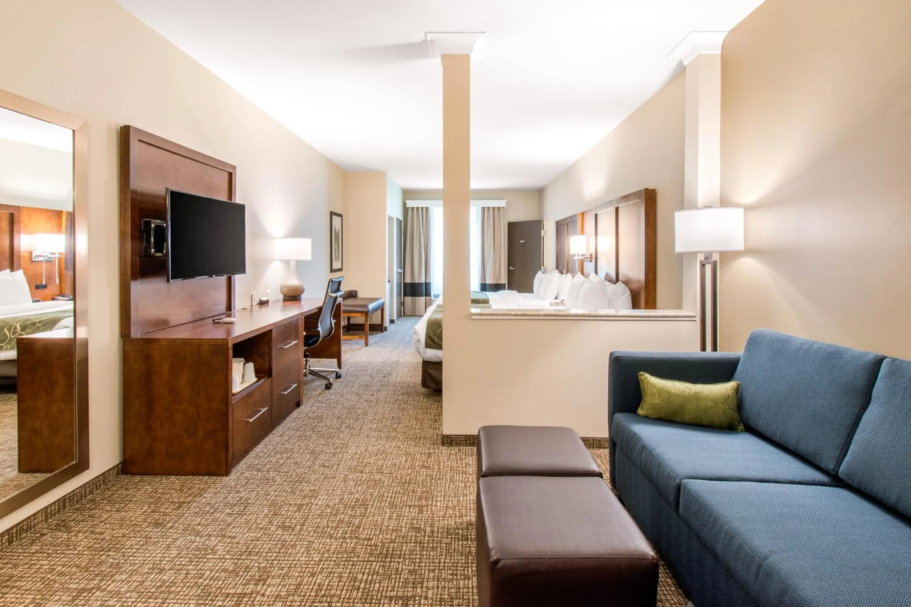 TV and multimedia in Comfort Suites Denver near Anschutz Medical Campus