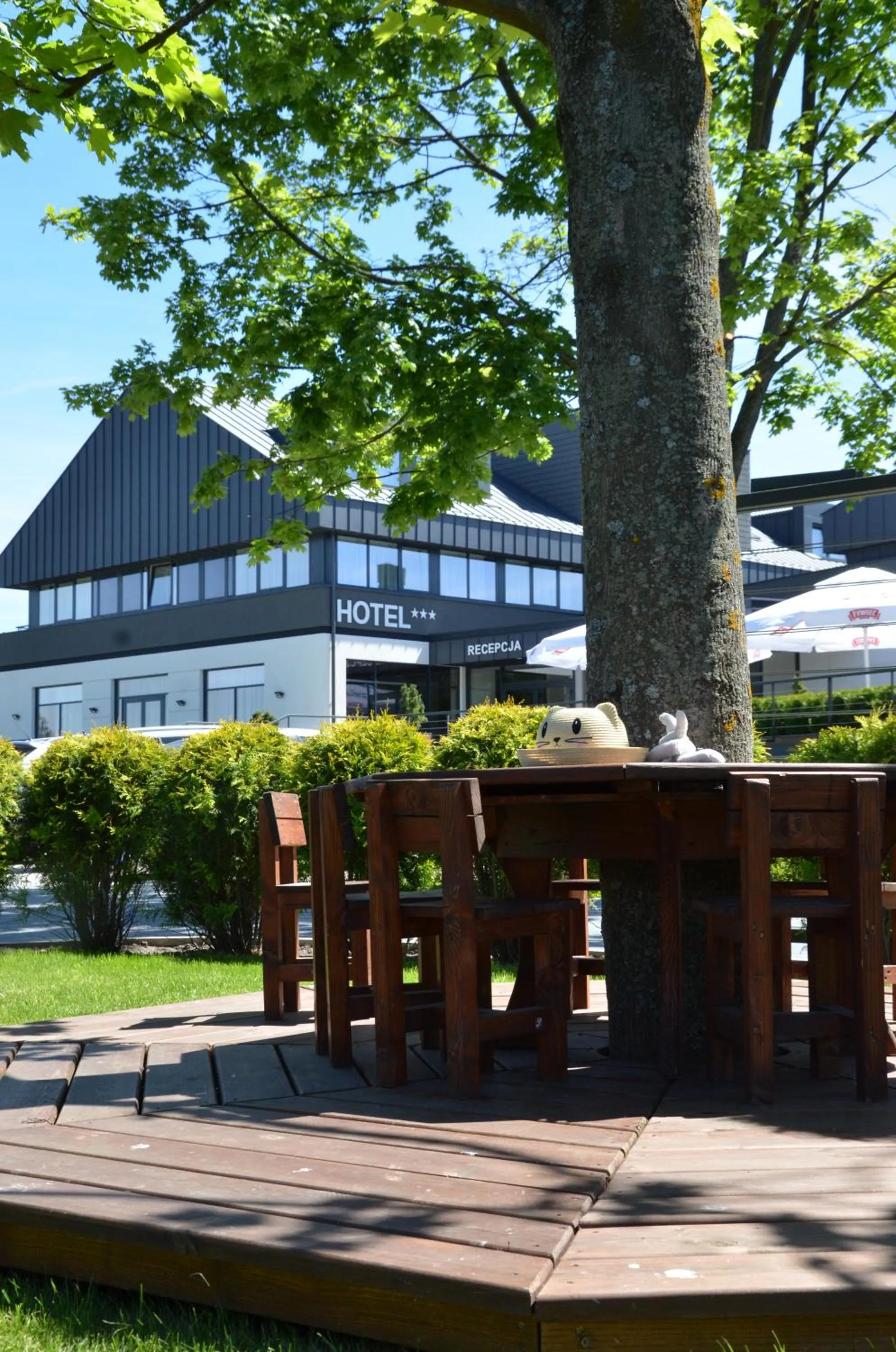 Children play ground in Hotel Avangarda