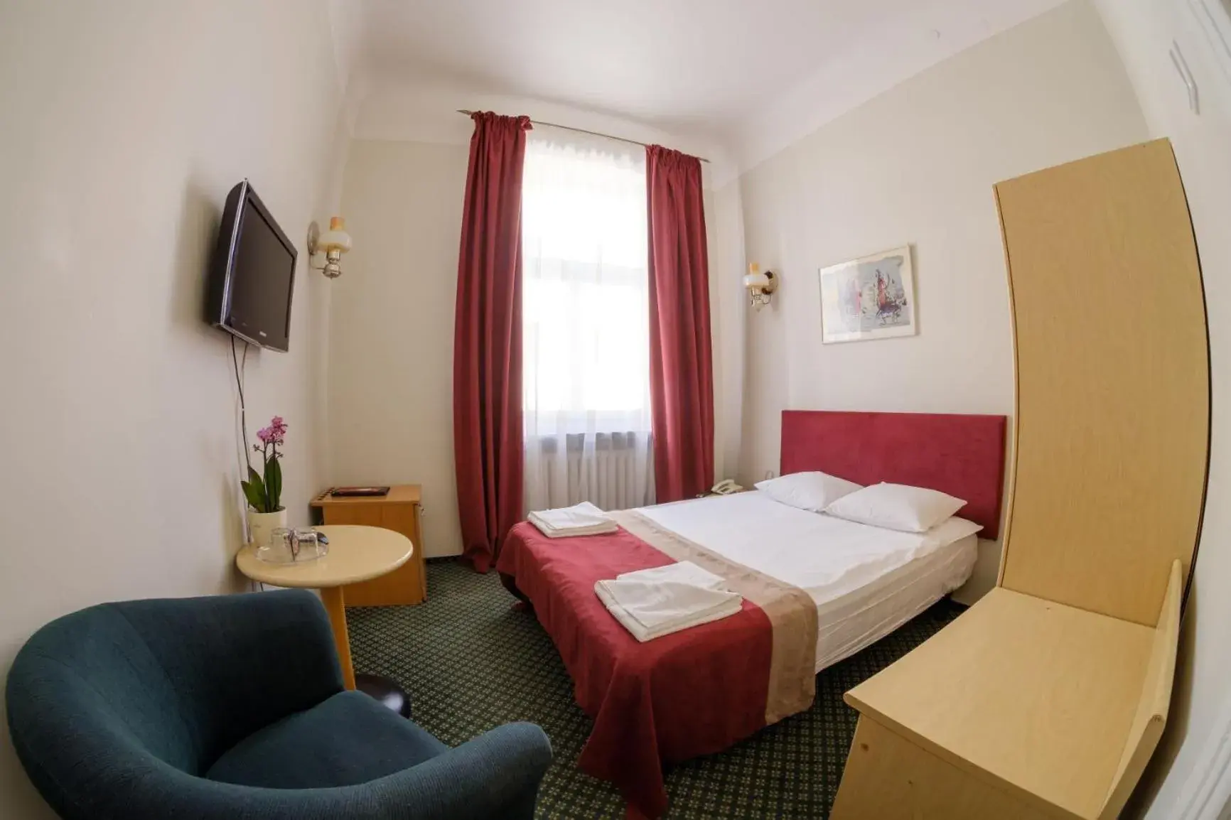 Single Room in Hotel Metropolis Single Room in Hotel Metropolis