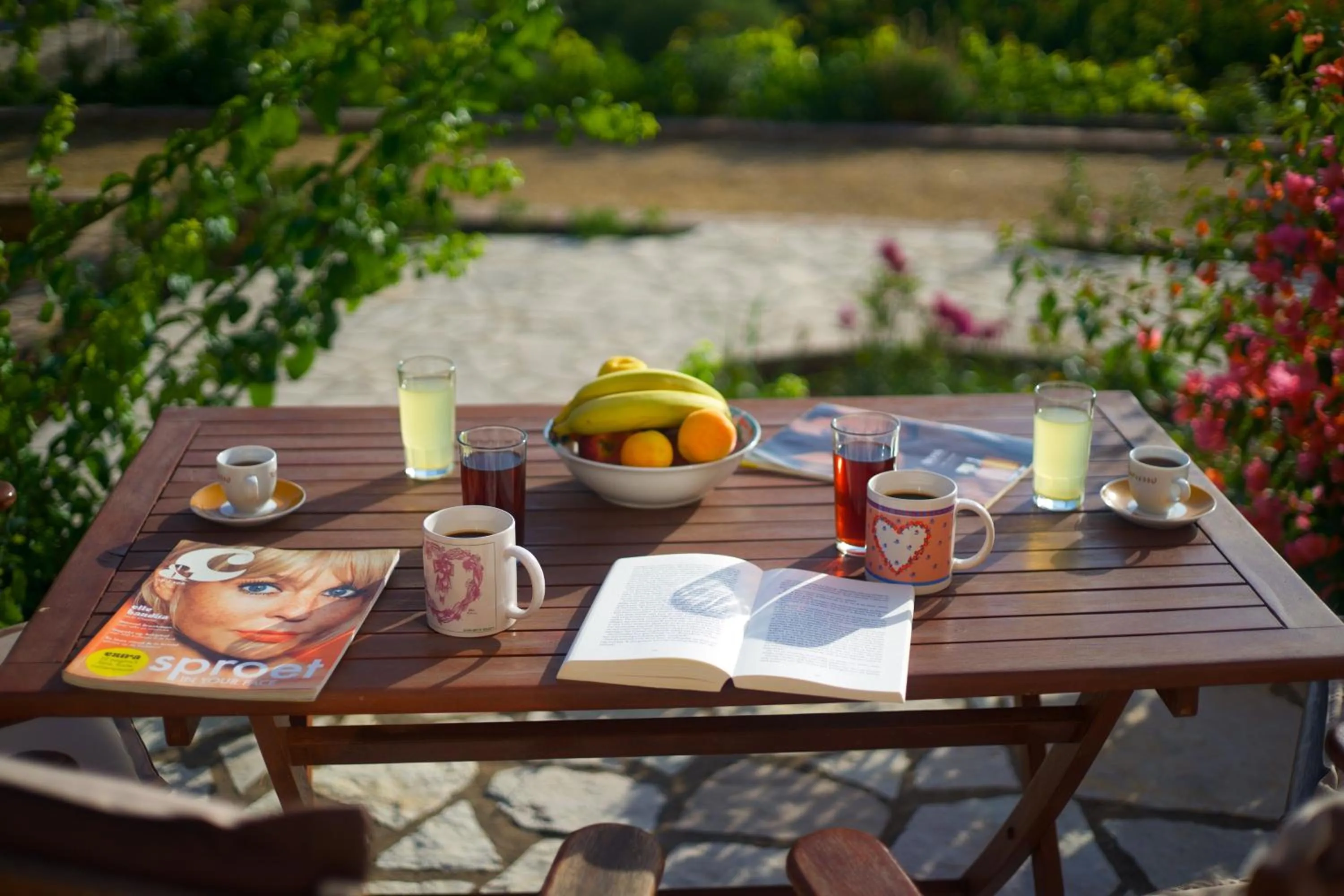 Garden in Panoramic Sunset
