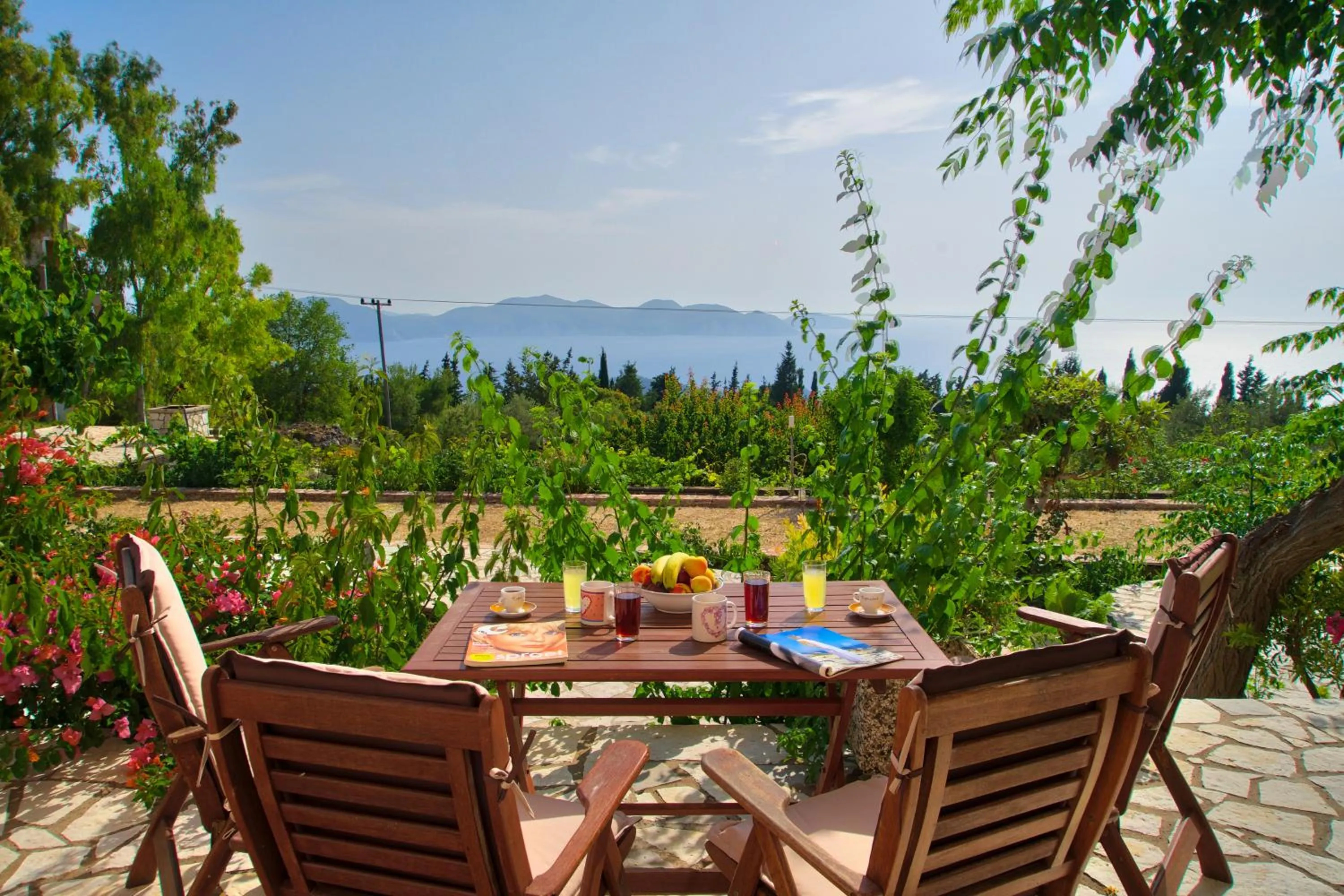 Garden in Panoramic Sunset