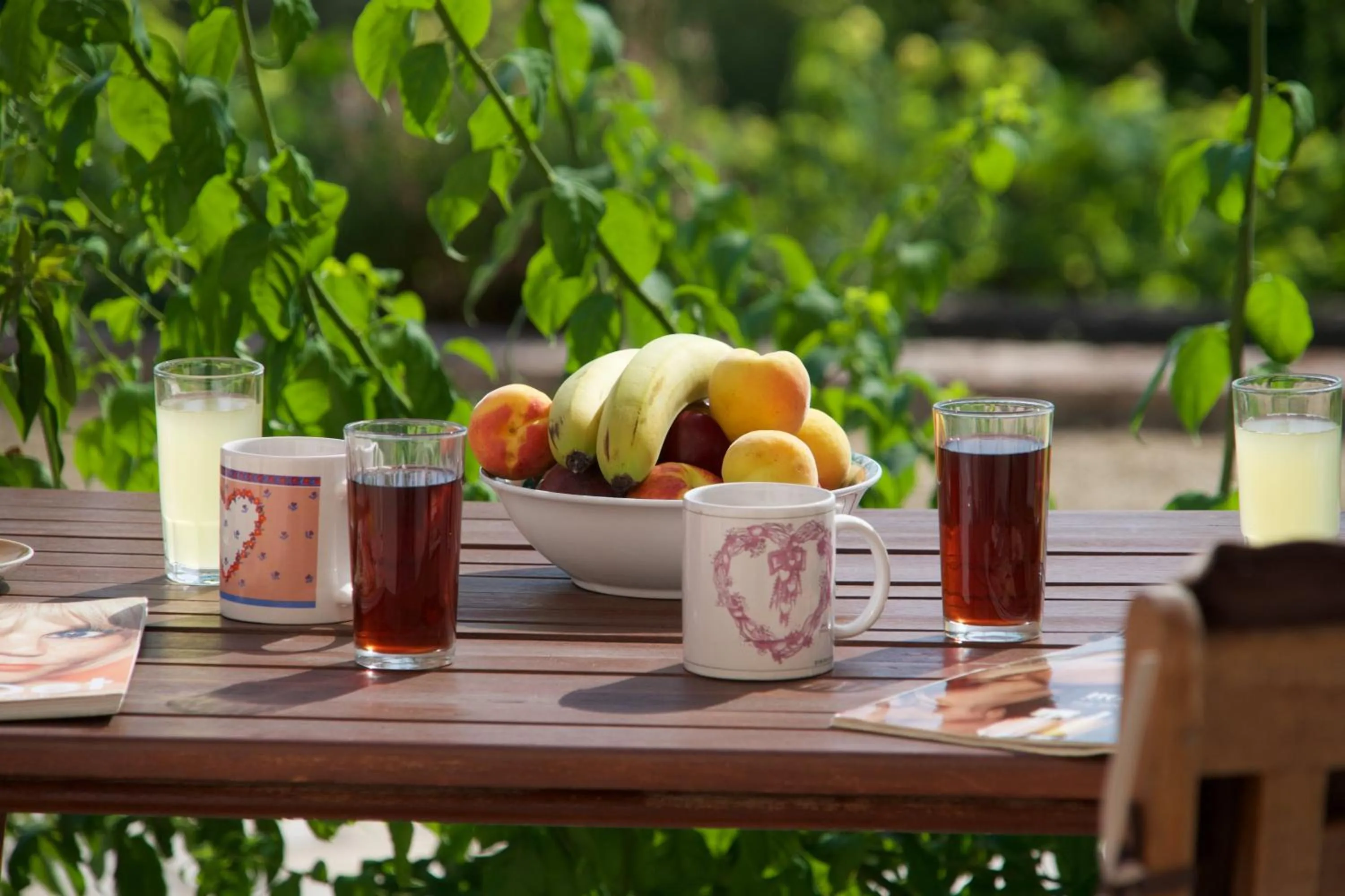 Day in Panoramic Sunset