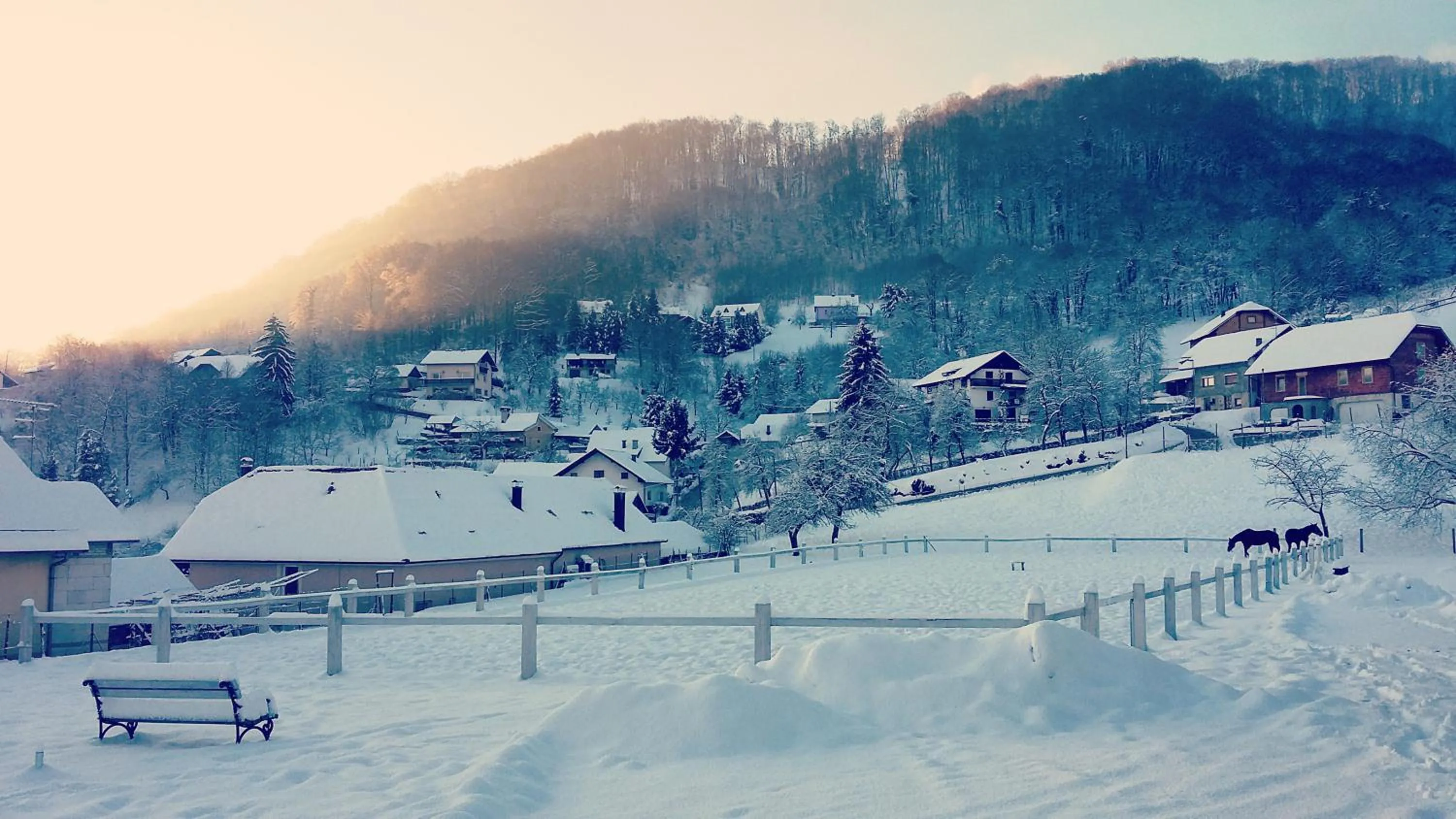 Winter in Farm Stay Zevnik