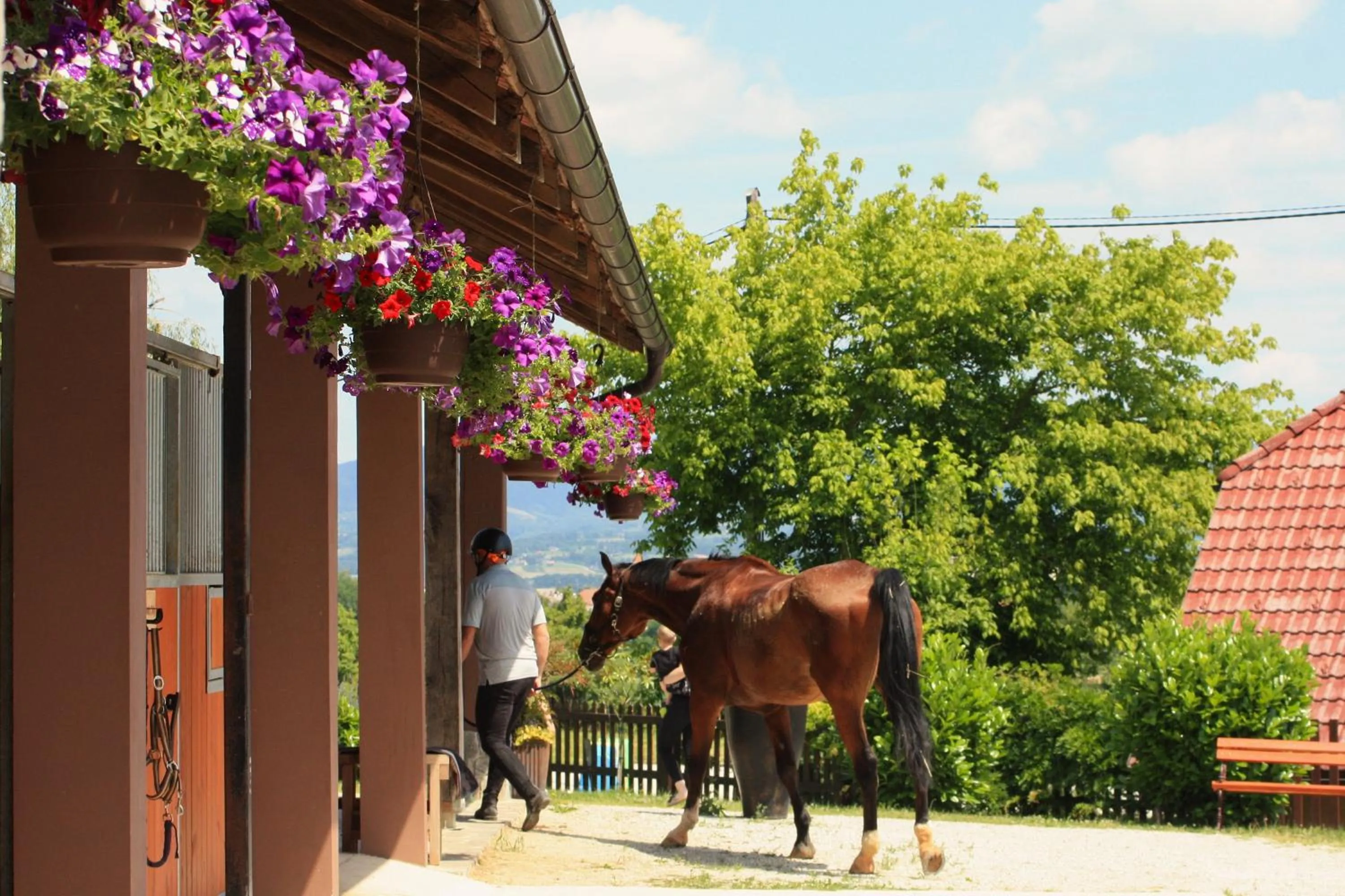 Day in Farm Stay Zevnik