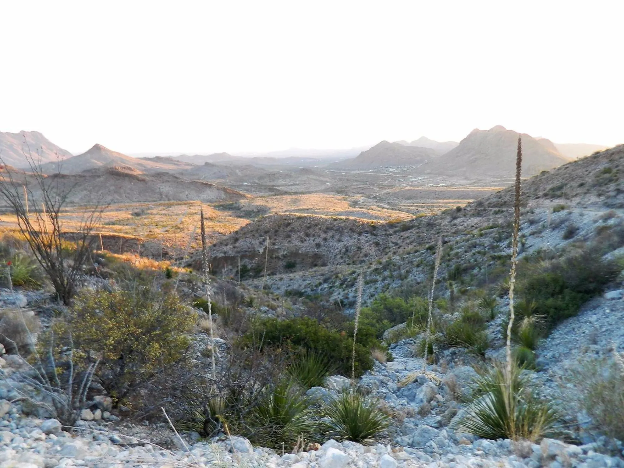 Nearby landmark in Terlingua Ranch Lodge