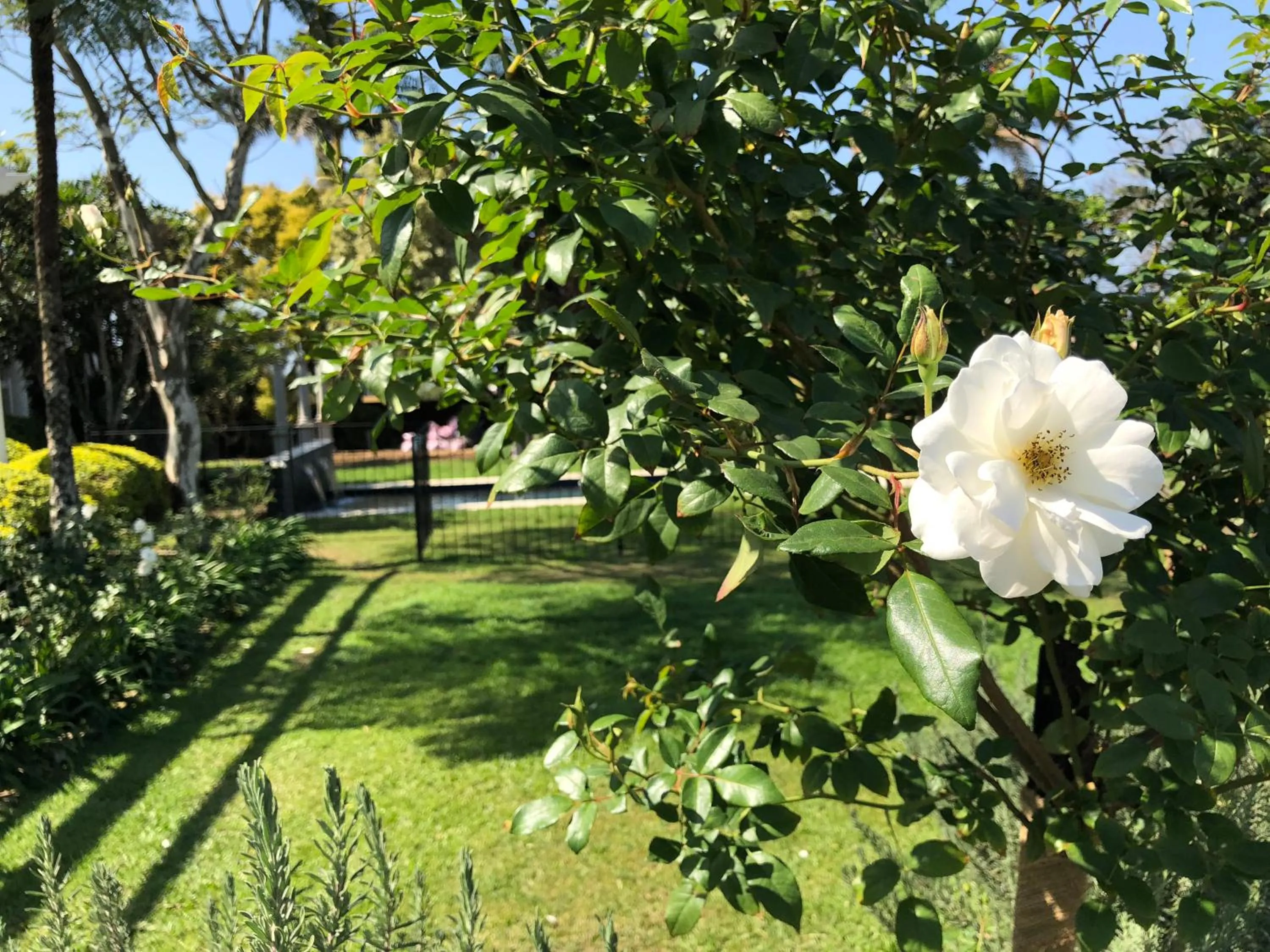 Property building in The Bentley Westville