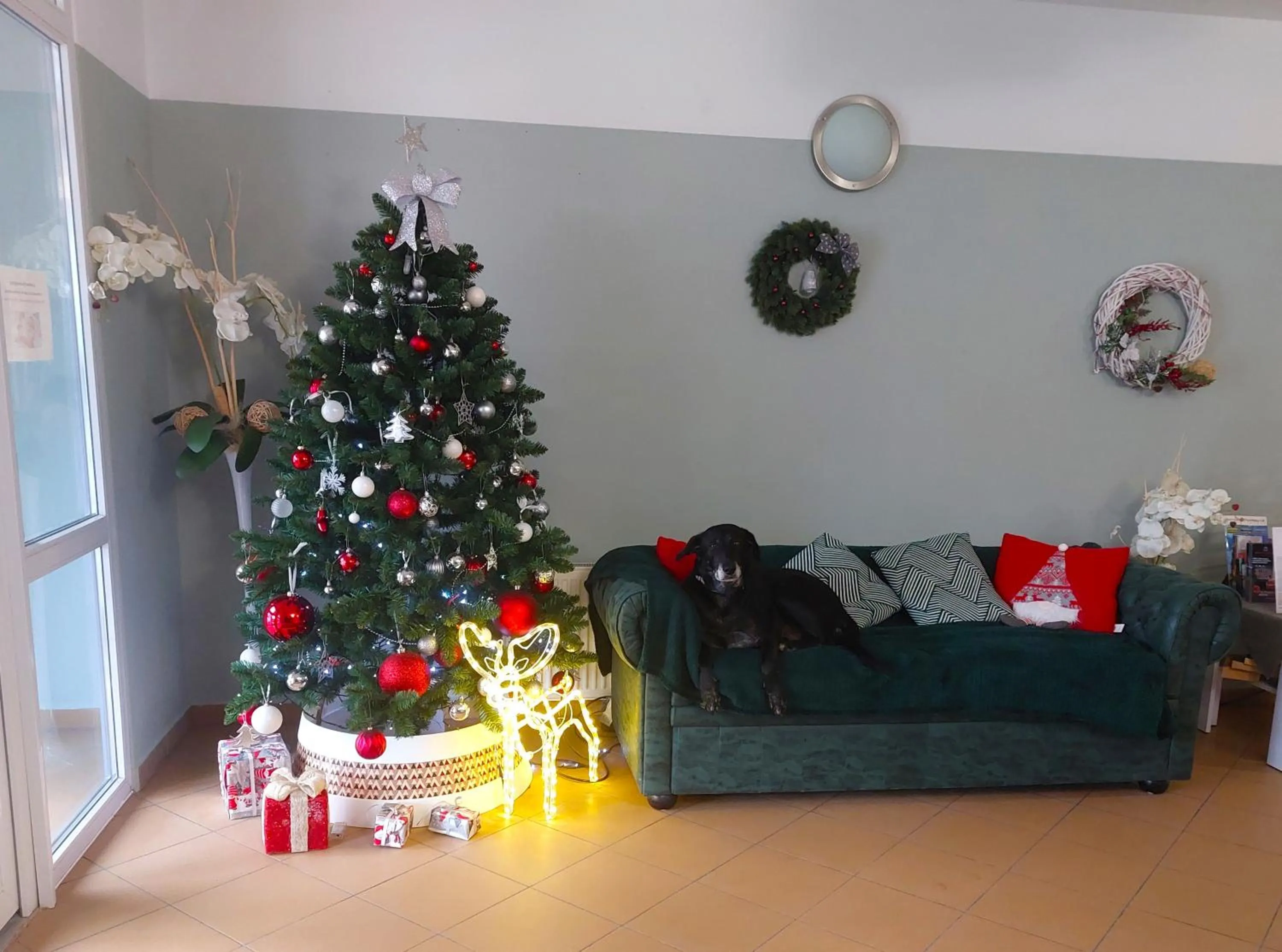 Winter in Rezydencja Korab