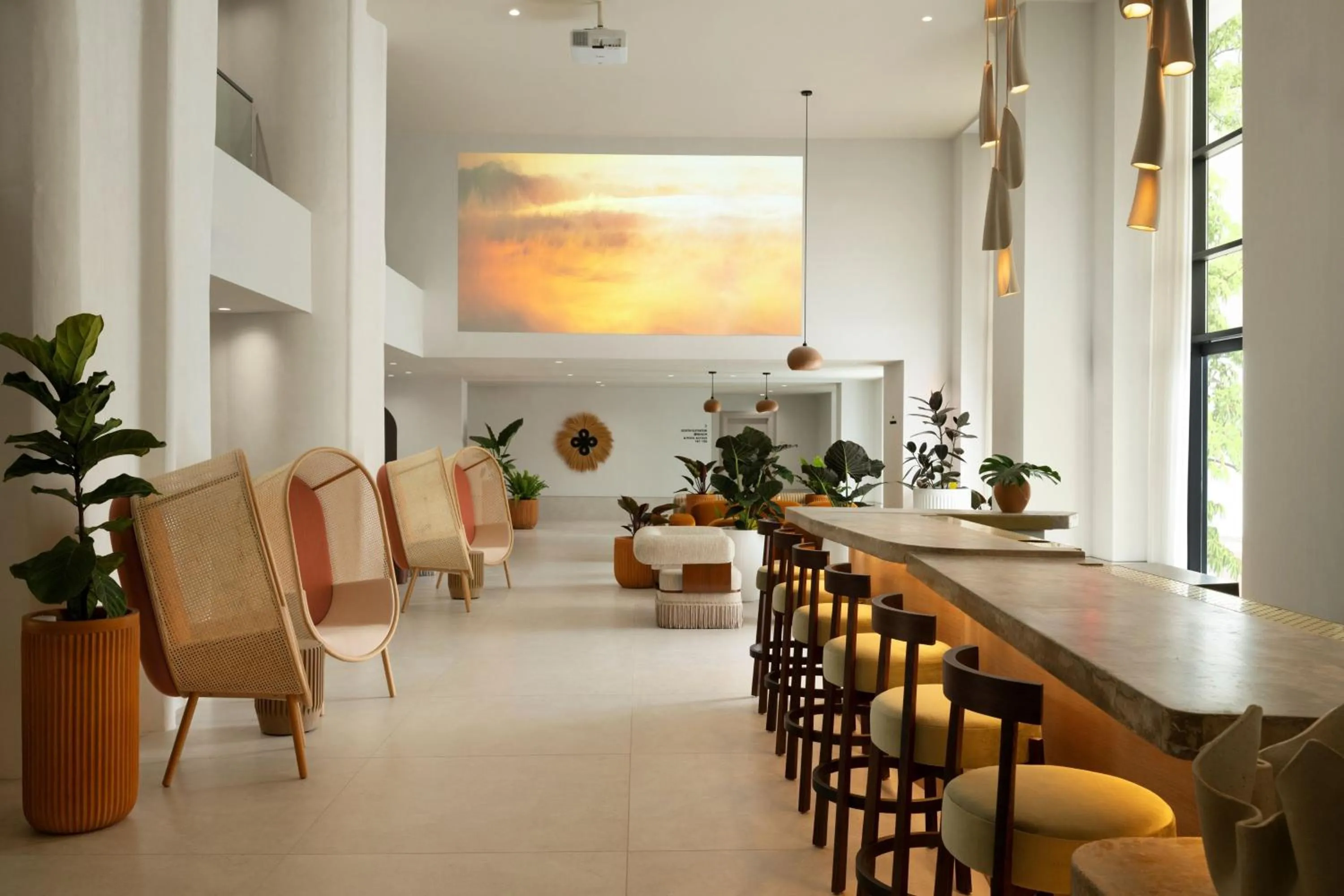 Lobby or reception in Sandbourne Santa Monica, Autograph Collection