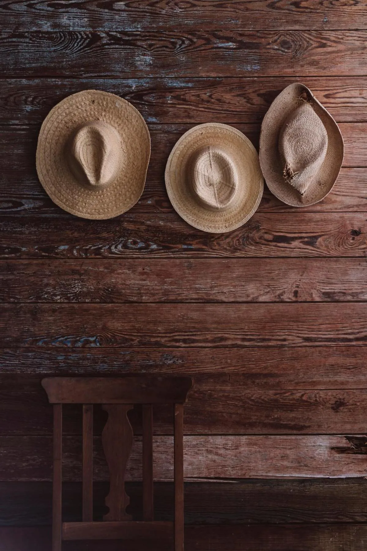 Decorative detail in Coqui Coqui Casa de los Santos Izamal - THE ONLY ONE SUITE COLLECTION