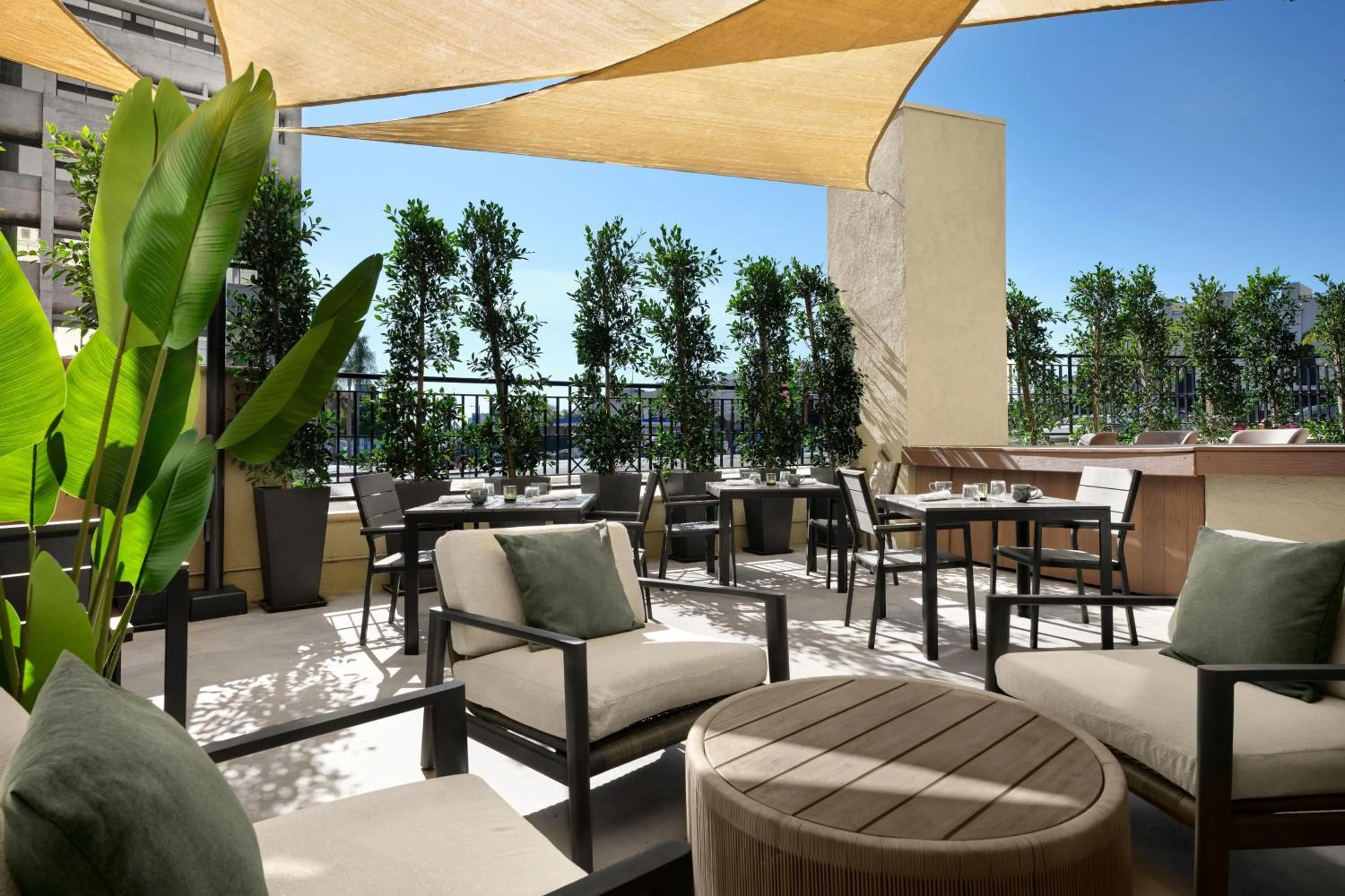 Other in Burton House, Beverly Hills, A Tribute Portfolio Hotel