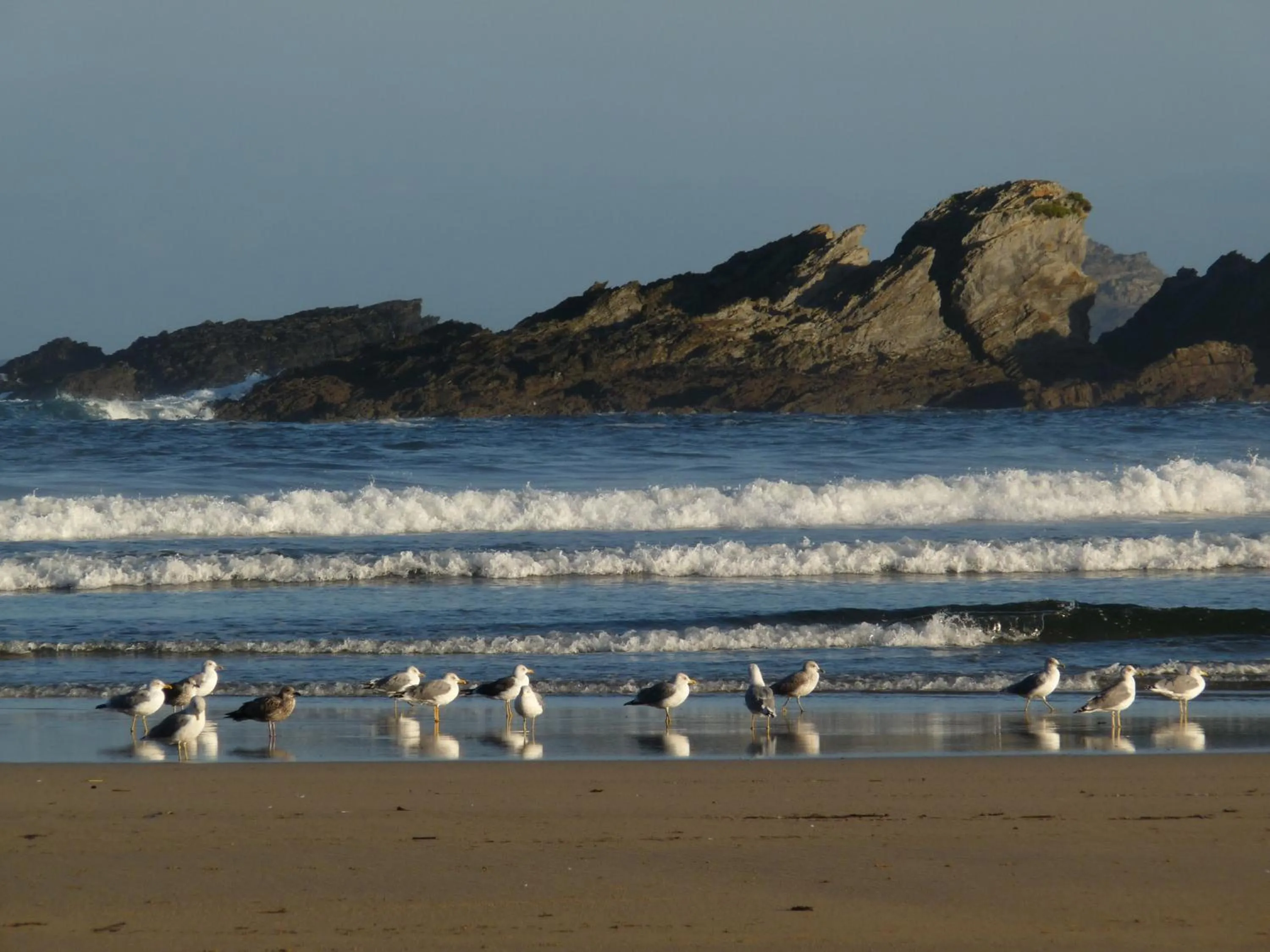 Beach in Hotel Restaurante San Anton