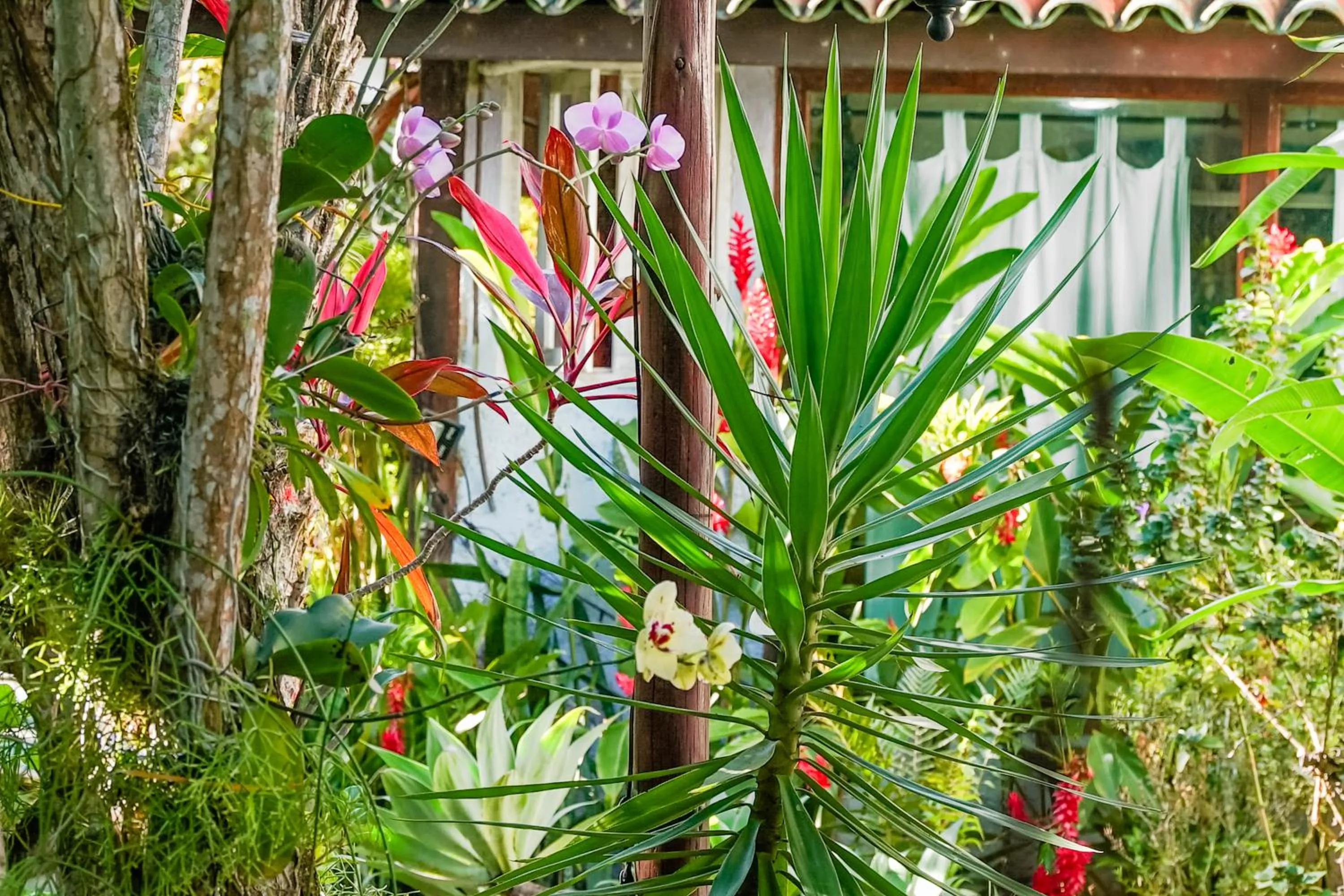 Garden in VELINN Feiticeira Praia Hotel