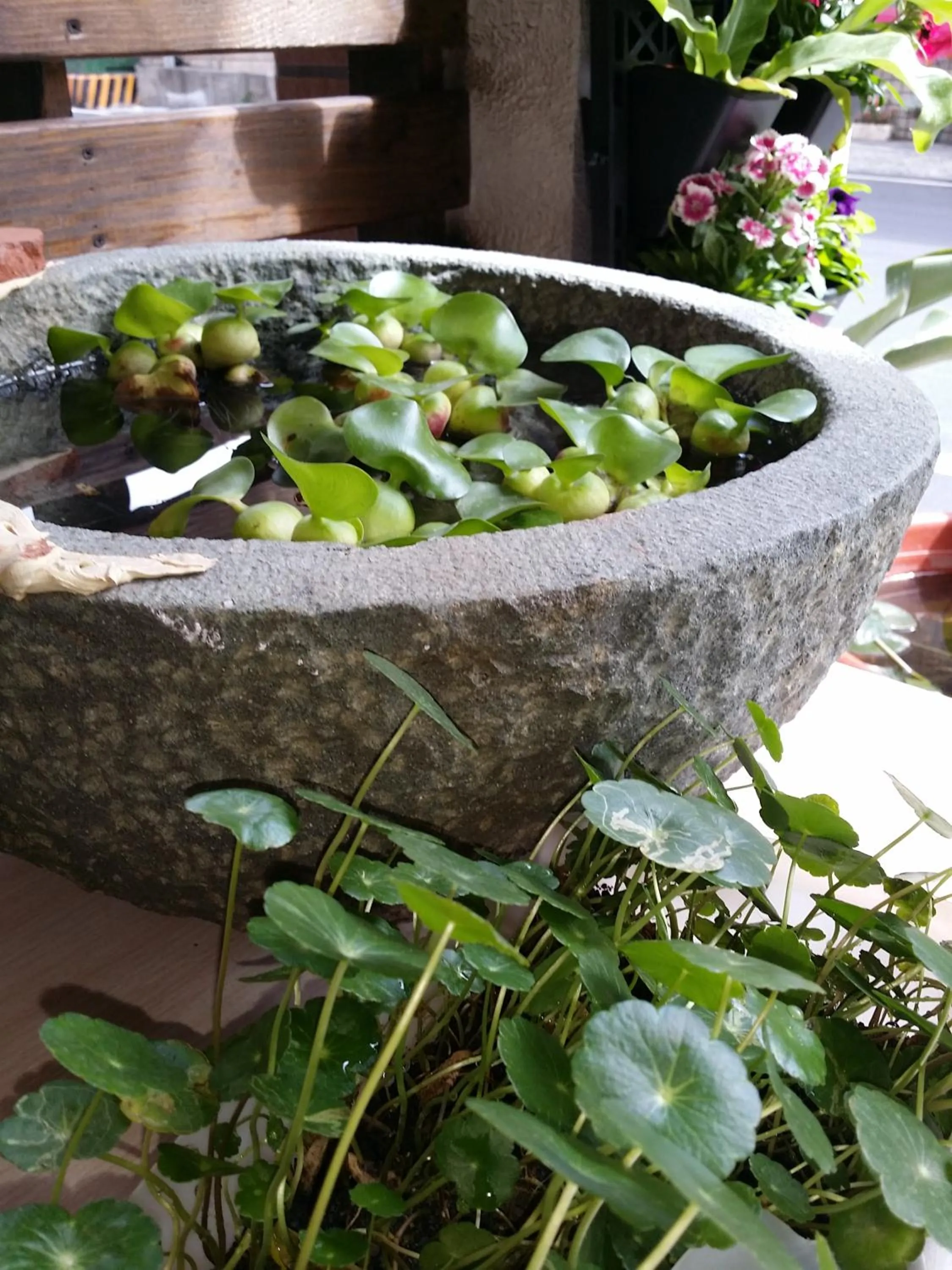 Property building in Craftsman Inn