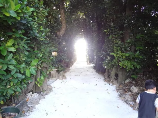 Neighbourhood in Bise House