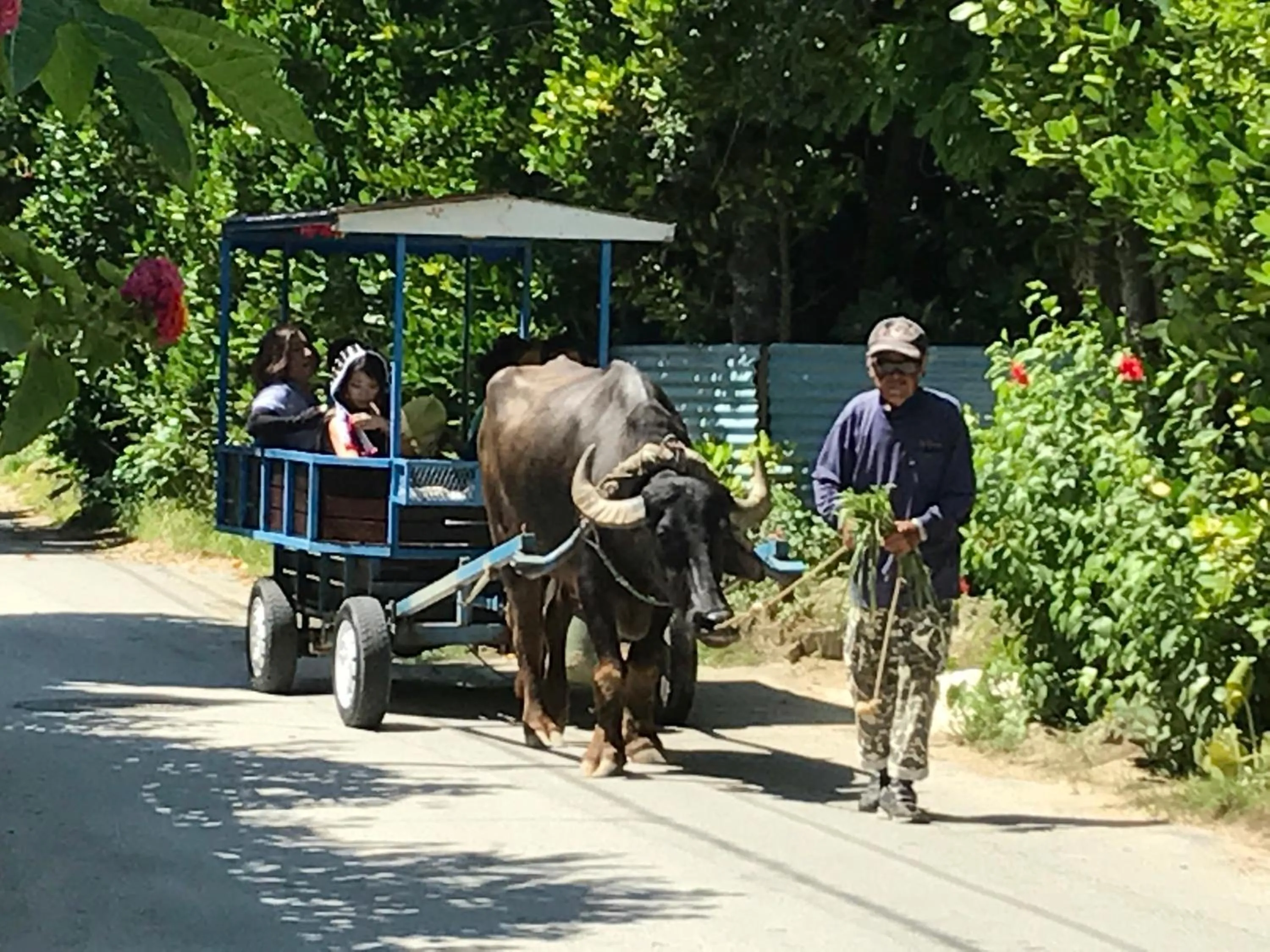 Activities in Bise House